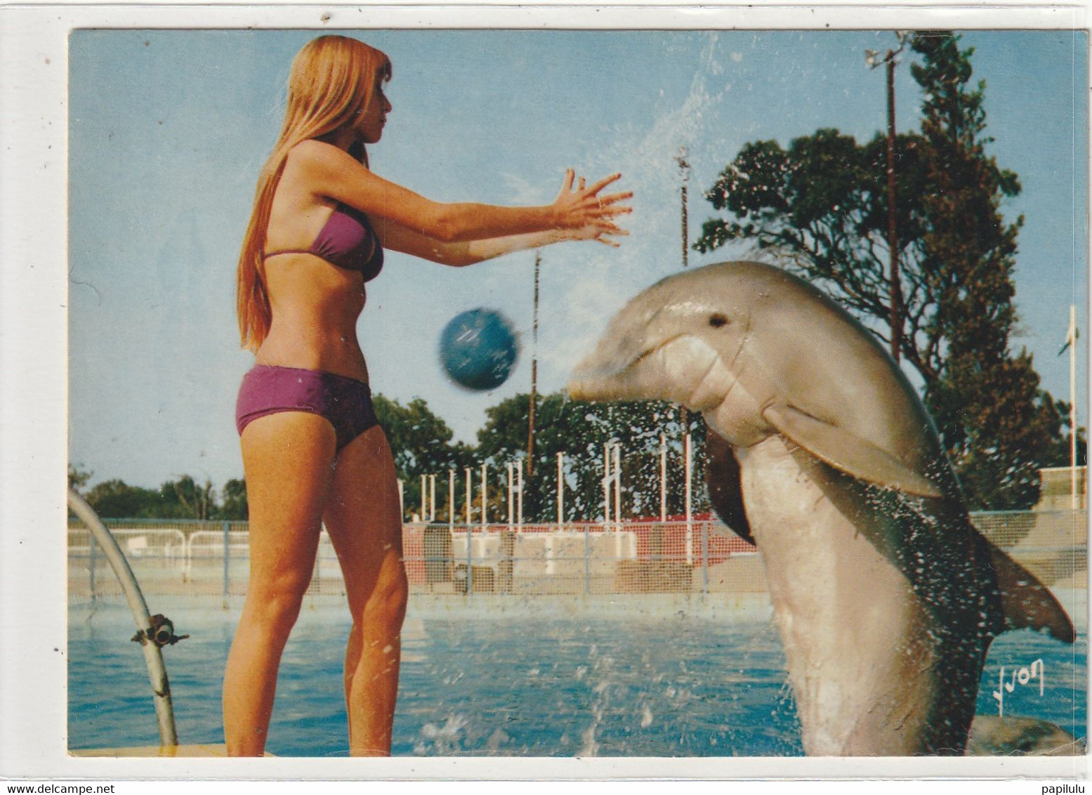 ANIMAUX 675 ; Les Dauphins Du Marineland : édit. Yvon N° 40-129-04 - Dauphins