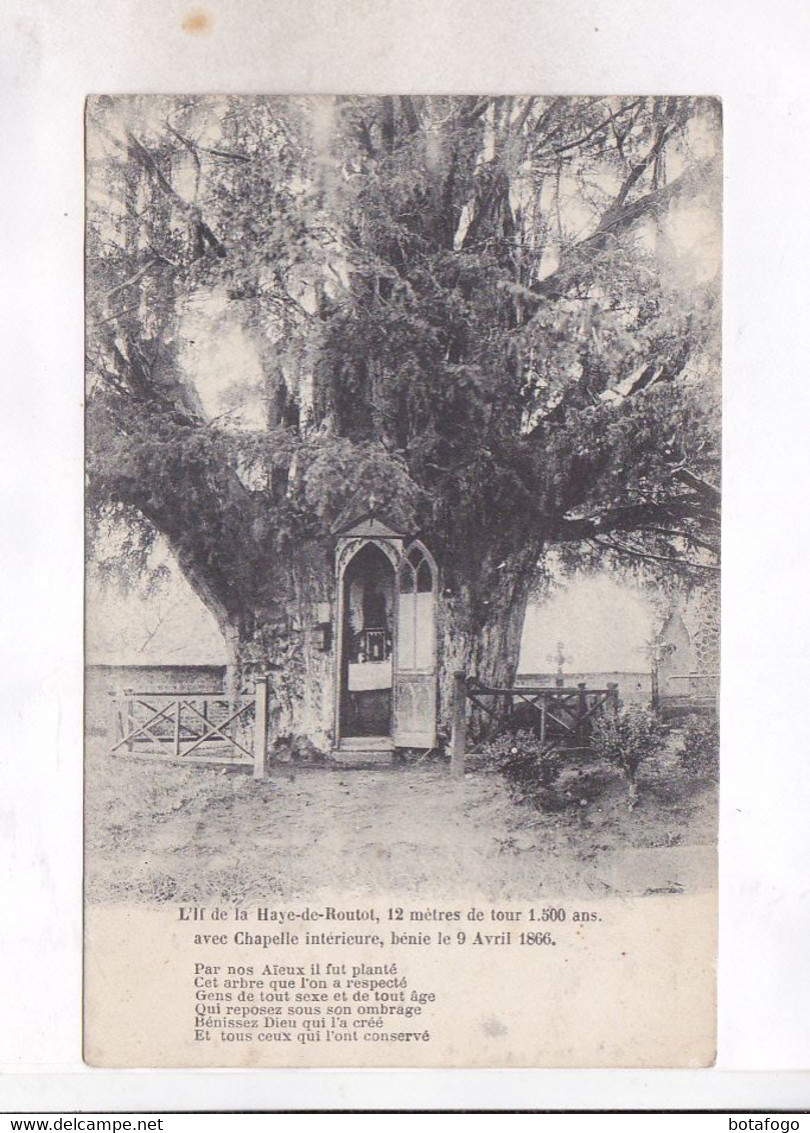 CPA  DPT 27 L IF DE LA HAYE DE ROUTOT, 1 METRES DE TOUR  AVEC CHAPELLE INTERIEURE - Routot