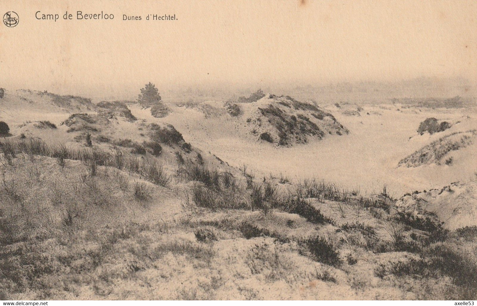 Leopoldburg Belgique (7569)  Camp De Beverloo - Dunes D'Hechtel - Leopoldsburg (Camp De Beverloo)