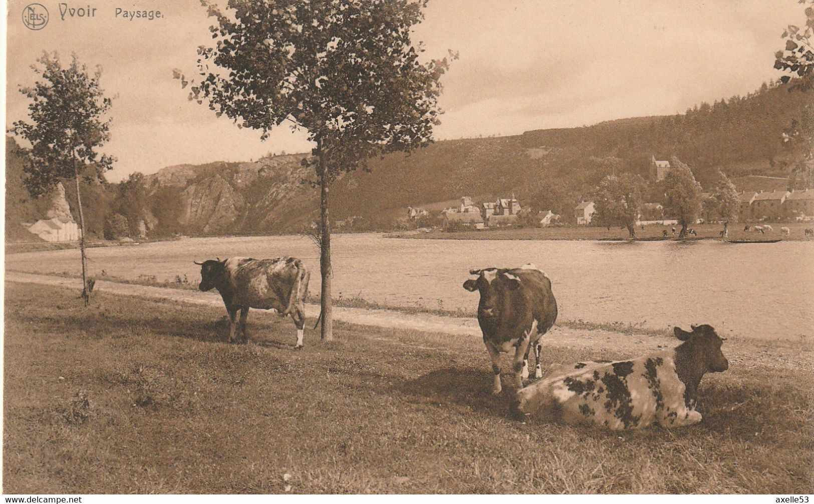 Namur  Belgique (7564) Yvoir, Paysage - Yvoir