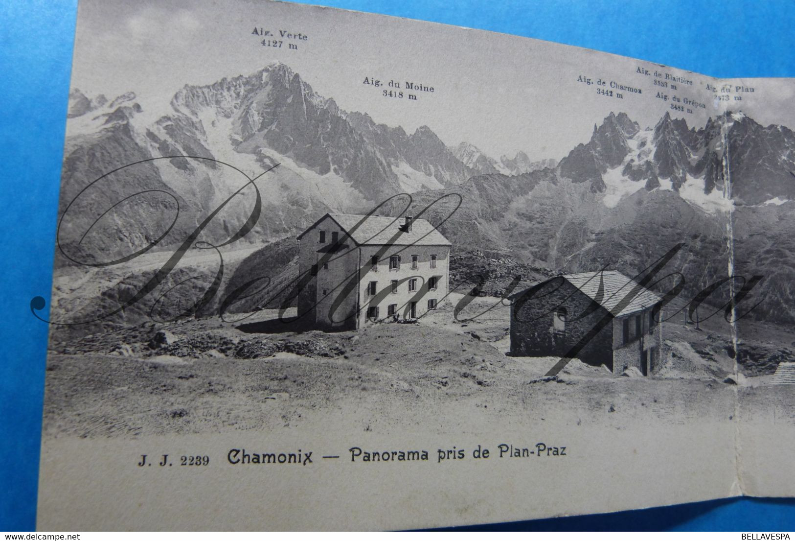 Chamonix Mont Blanc Panorama Pris De Plan-Praz. Edit. J.J. 2239 - Chamonix-Mont-Blanc