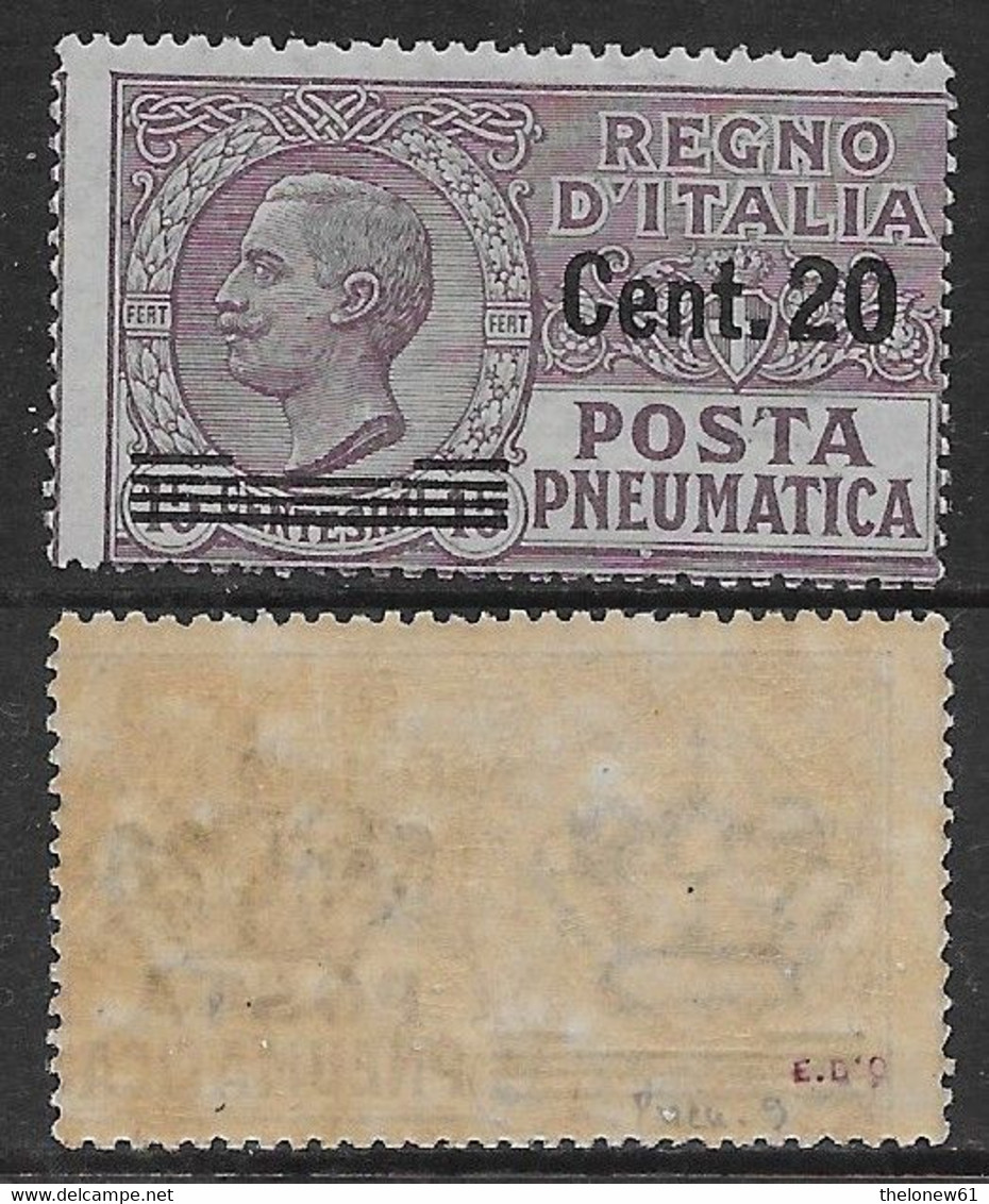 Italia Italy 1924 Regno Pneumatica Leoni Soprastampati C20 Su C15 Sa N.PN6 Nuovo Integro MNH ** - Rohrpost