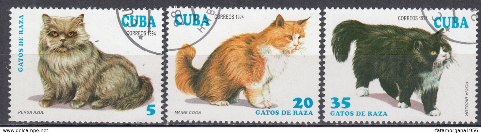 CUBA - 1994 - Lotto Di 3 Valori usati: Yvert 3351, 3353 E 3355, rappresentanti Gatti. - Oblitérés