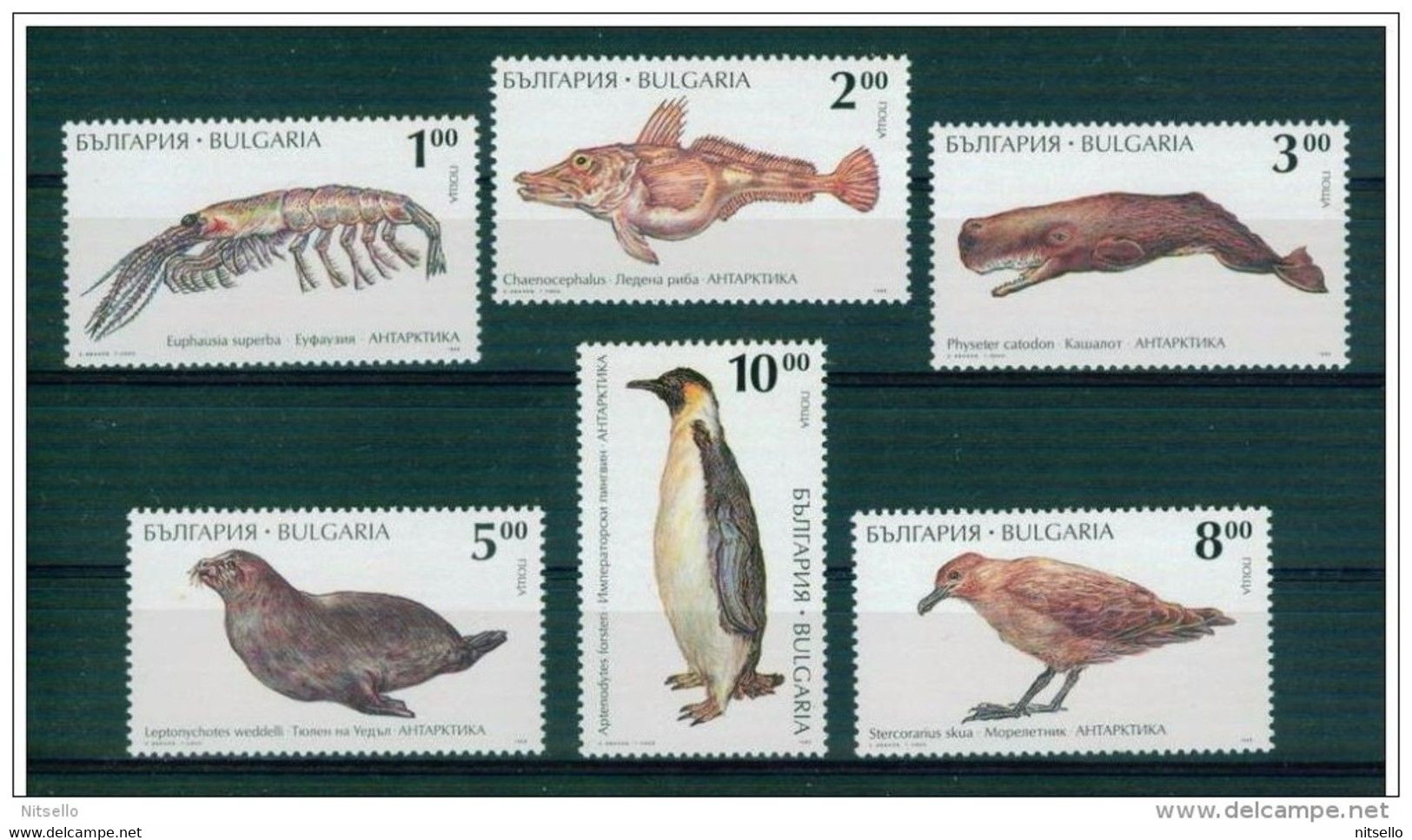 LOTE 1235  ///  (C050) BULGARIA 1995   FAUNA MARINA ** MNH - Marine Life