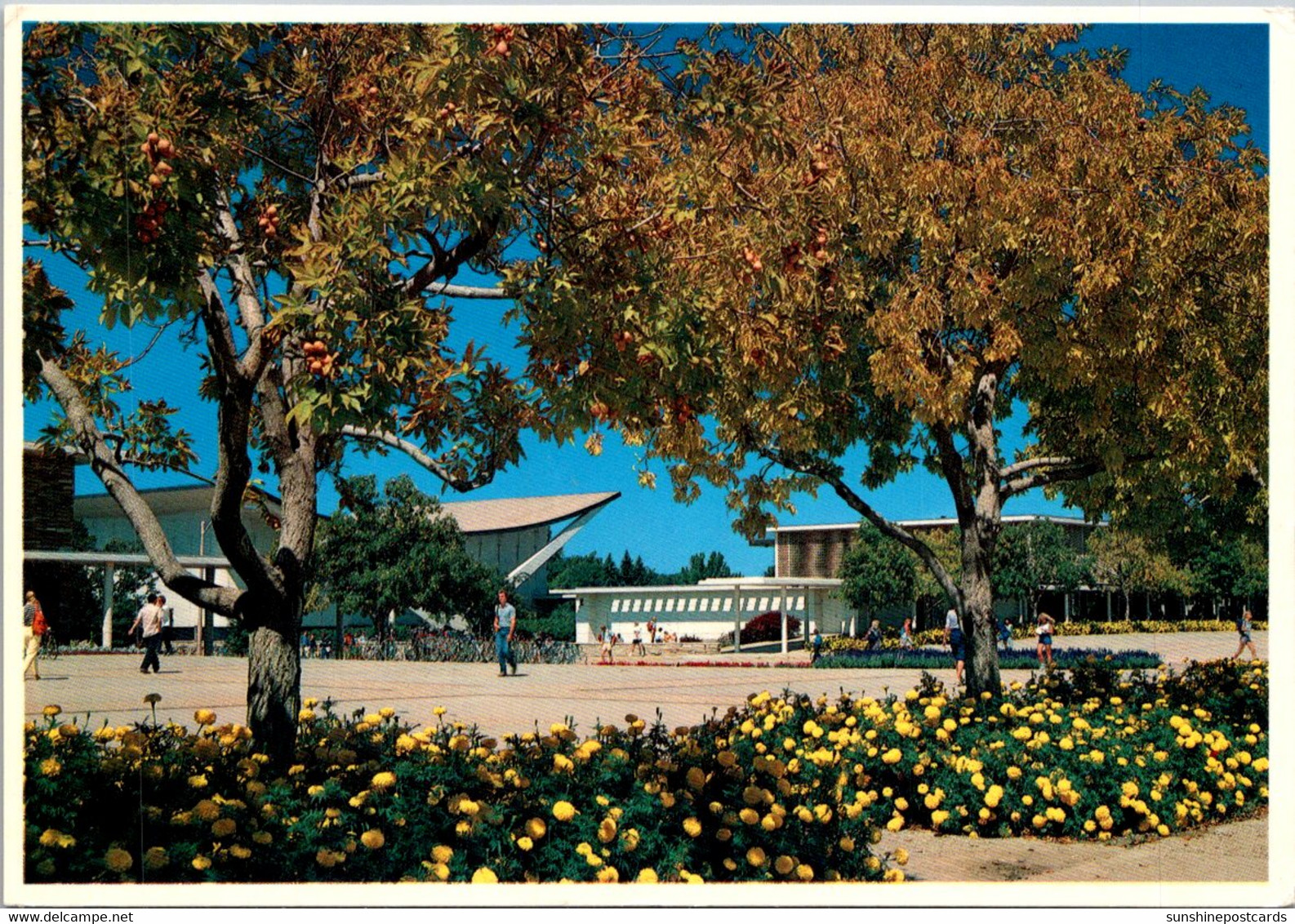 Colorado Fort Collins Colorado State University Campus View - Fort Collins