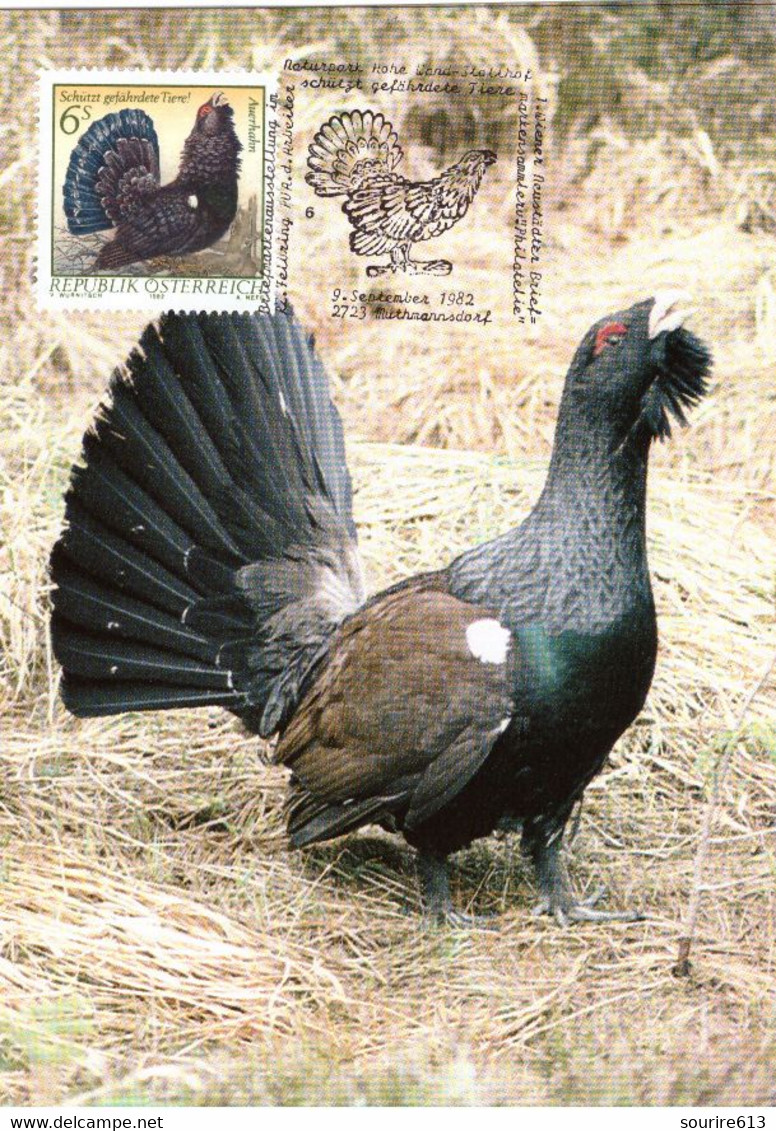 CM Autriche 1982 Capercaille  Grand Tétra Espèce Protégée En Danger - Grey Partridge