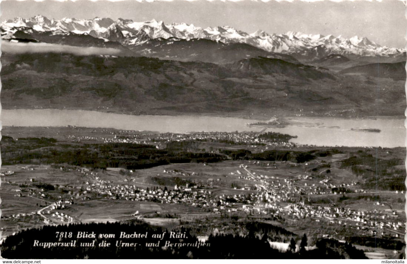 Blick Vom Bachtel Auf Rüti, Rapperswil Un Die Urner- Und Berneralpen (7818) - Rüti