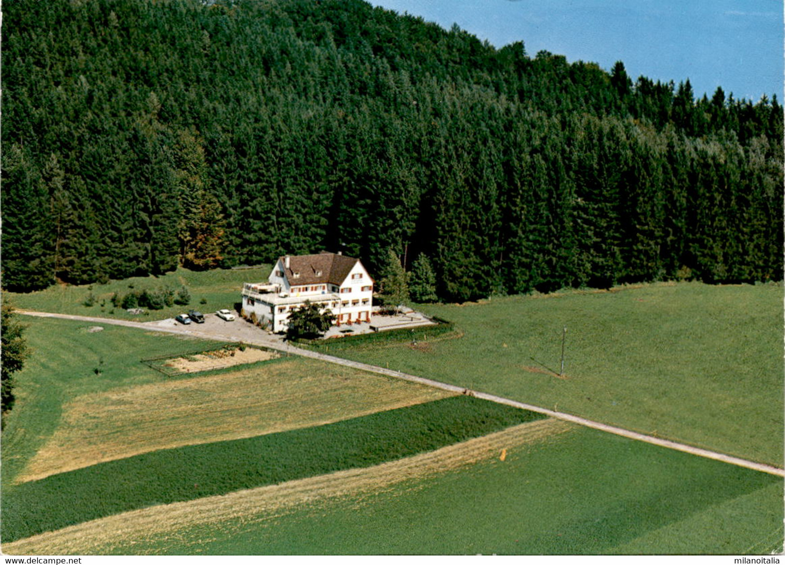 Albishaus (Naturfreunde Zürich) - Langnau A/Albis (5354) * 1982 - Langnau Am Albis 