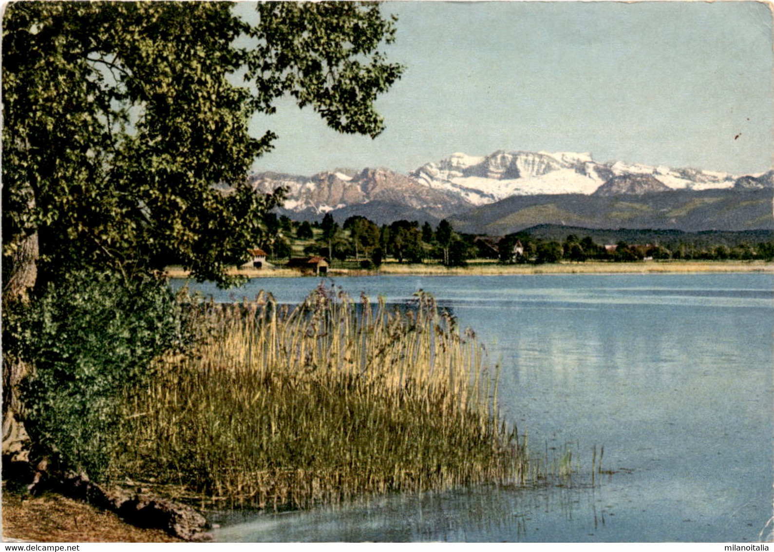 Greifensee Mit Glärnisch (2640) * 18. 7. 1966 - Greifensee