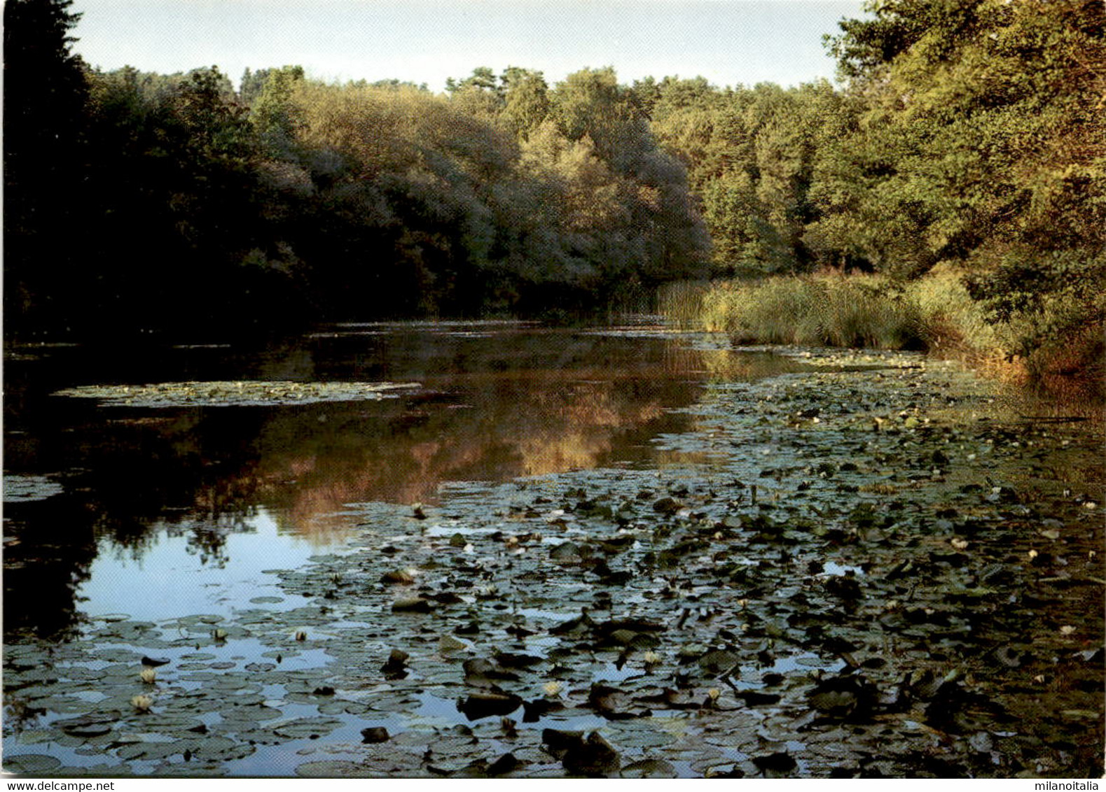 Rhein - Eglisau - Ellikon (ZH) - Wanderkarte - Eglisau