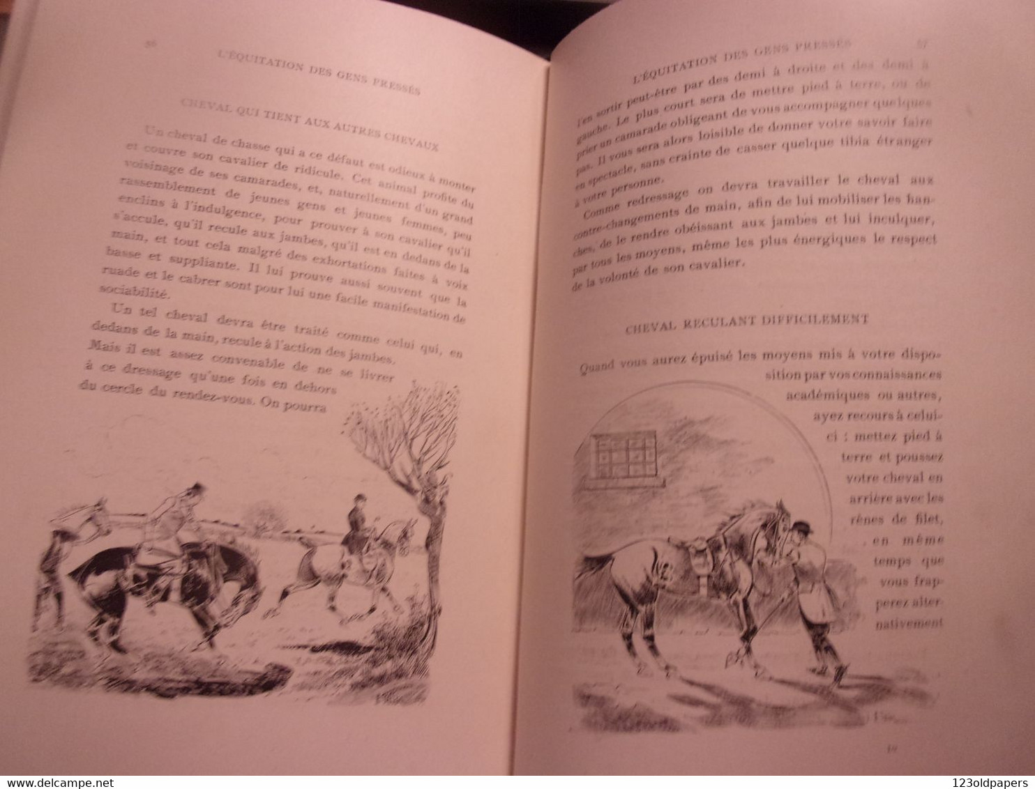 ️ 1901 COMTE DE COMMINGES L'équitation des gens pressés (chit-chat about the pigskin) CHASSE A COURRE DESSINS DE THELEM