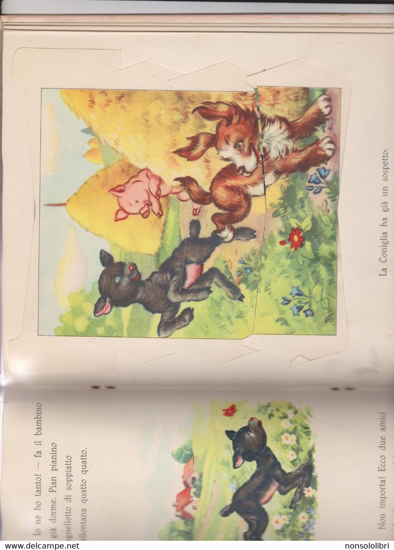 LIBRO A MECCANISMO FUNZIONANTE ::GLI AMICI DI UN AGNELLINO NERO -  ILLUSTRATO DA MARIA PIA.  EDIZIONE " PICCOLI ". - Kinder Und Jugend