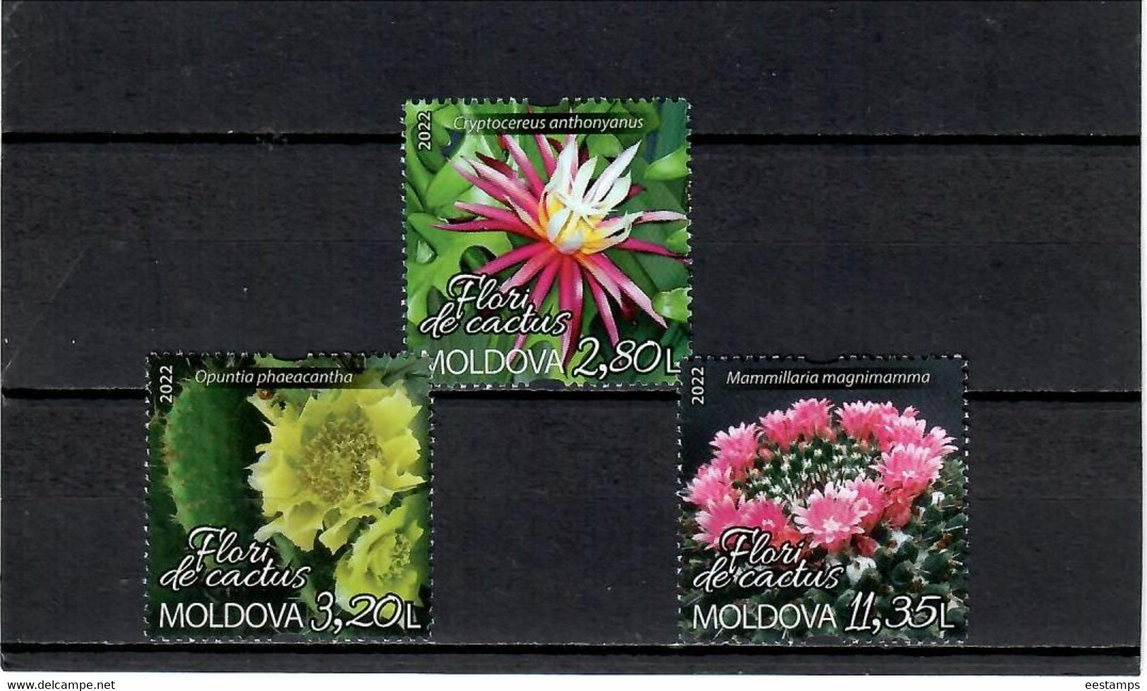 Moldova 2022 . Cactus Flowers. 3v. - Moldavië