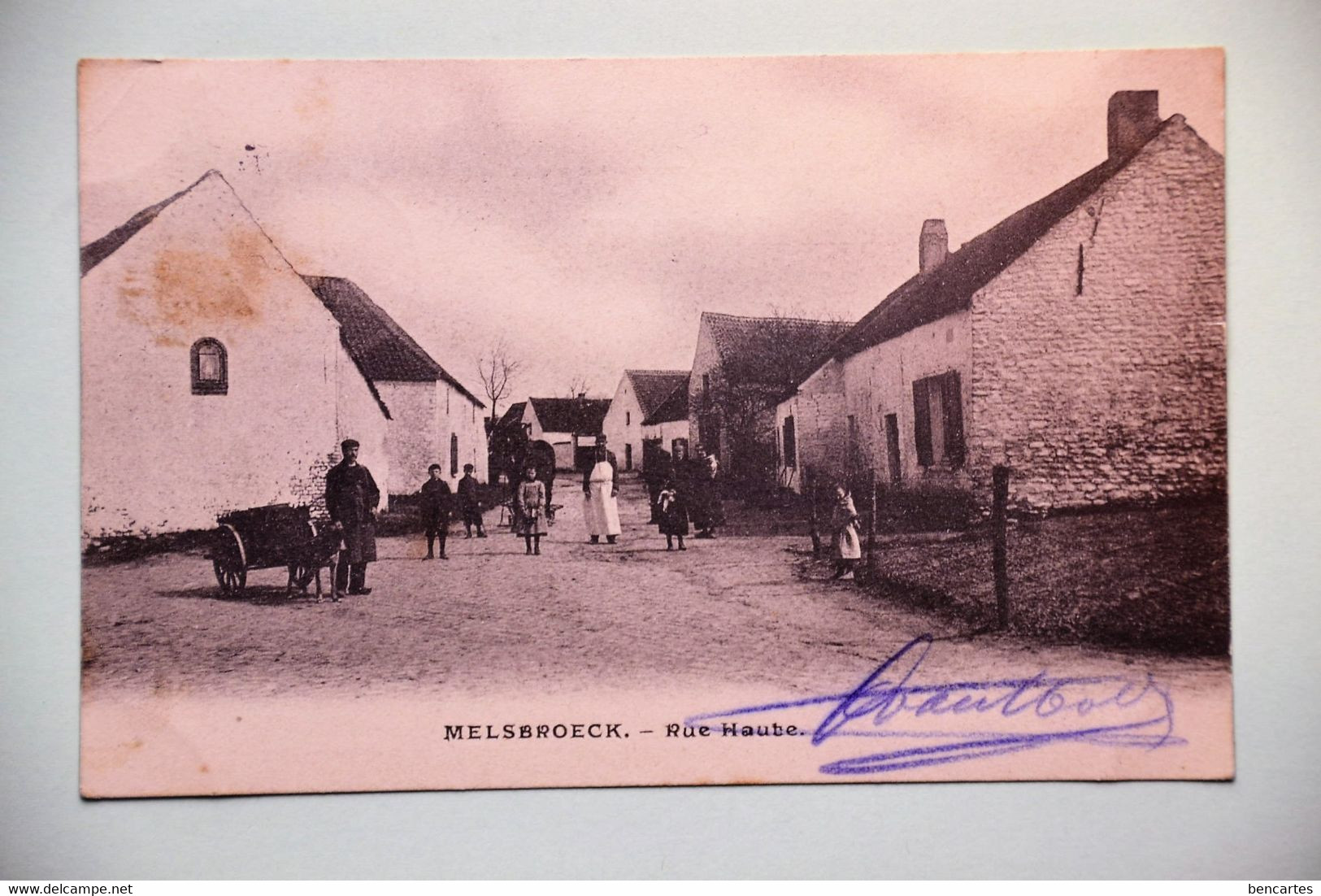 Melsbroeck 1906: Rue Haute Très Animée Avec Charette à Chien. Très Rare - Steenokkerzeel