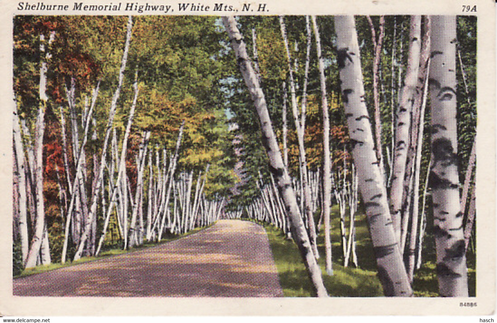 1947252Shelburne Memorial Highway, White Mts., 1961 - White Mountains