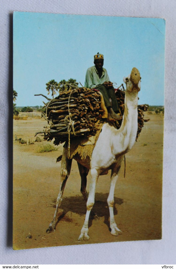 Cpm, République Du Niger, Chamelier Vendeur Du Bois, Afrique - Niger