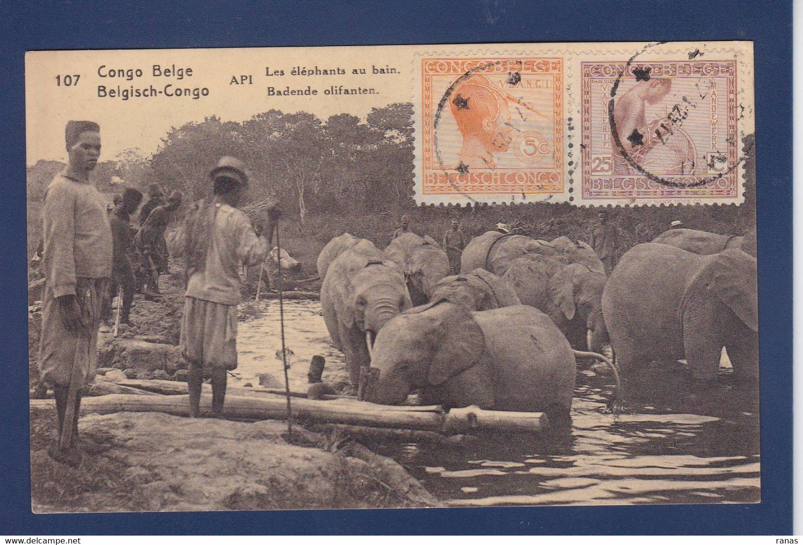 CPA éléphant Voir Dos Congo Belge Afrique Noire - Elephants