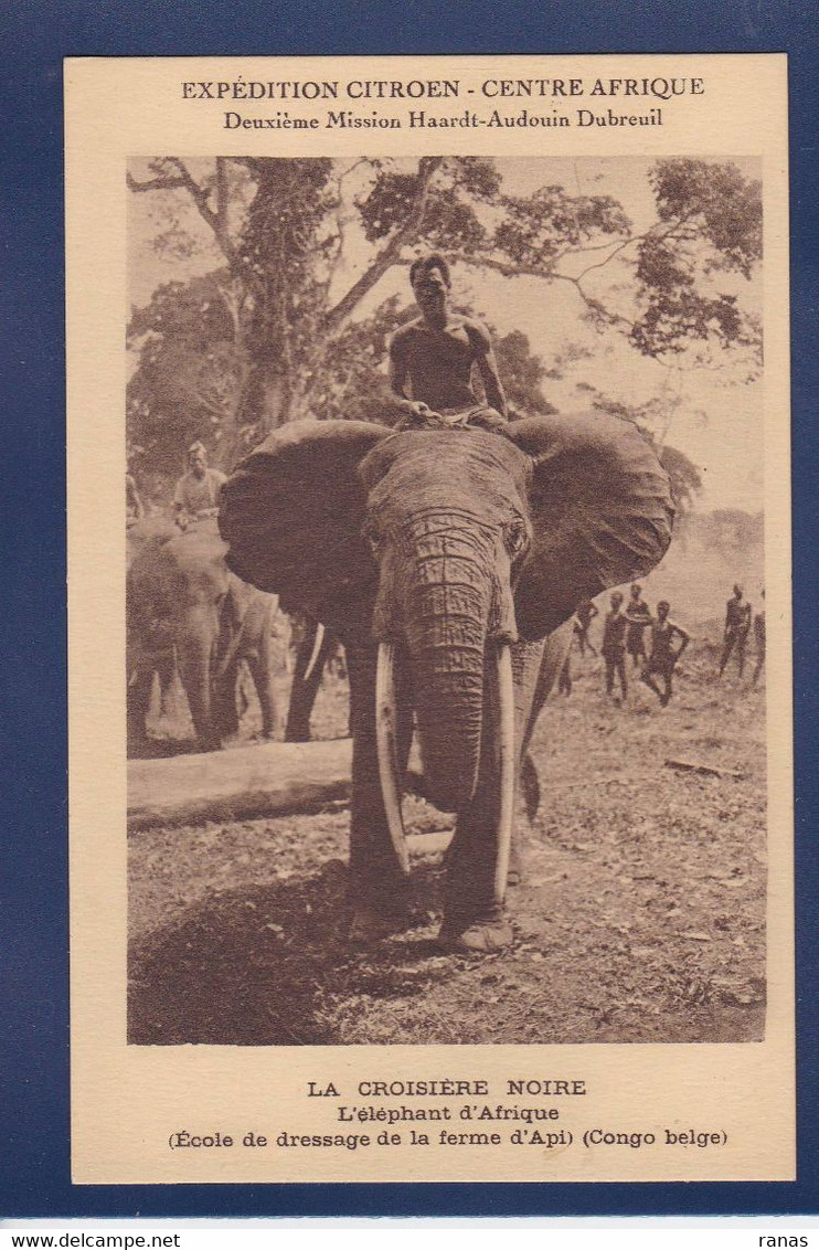 CPA éléphant Congo Belge Afrique Noire Non Circulé Expédition Citroën - Elephants