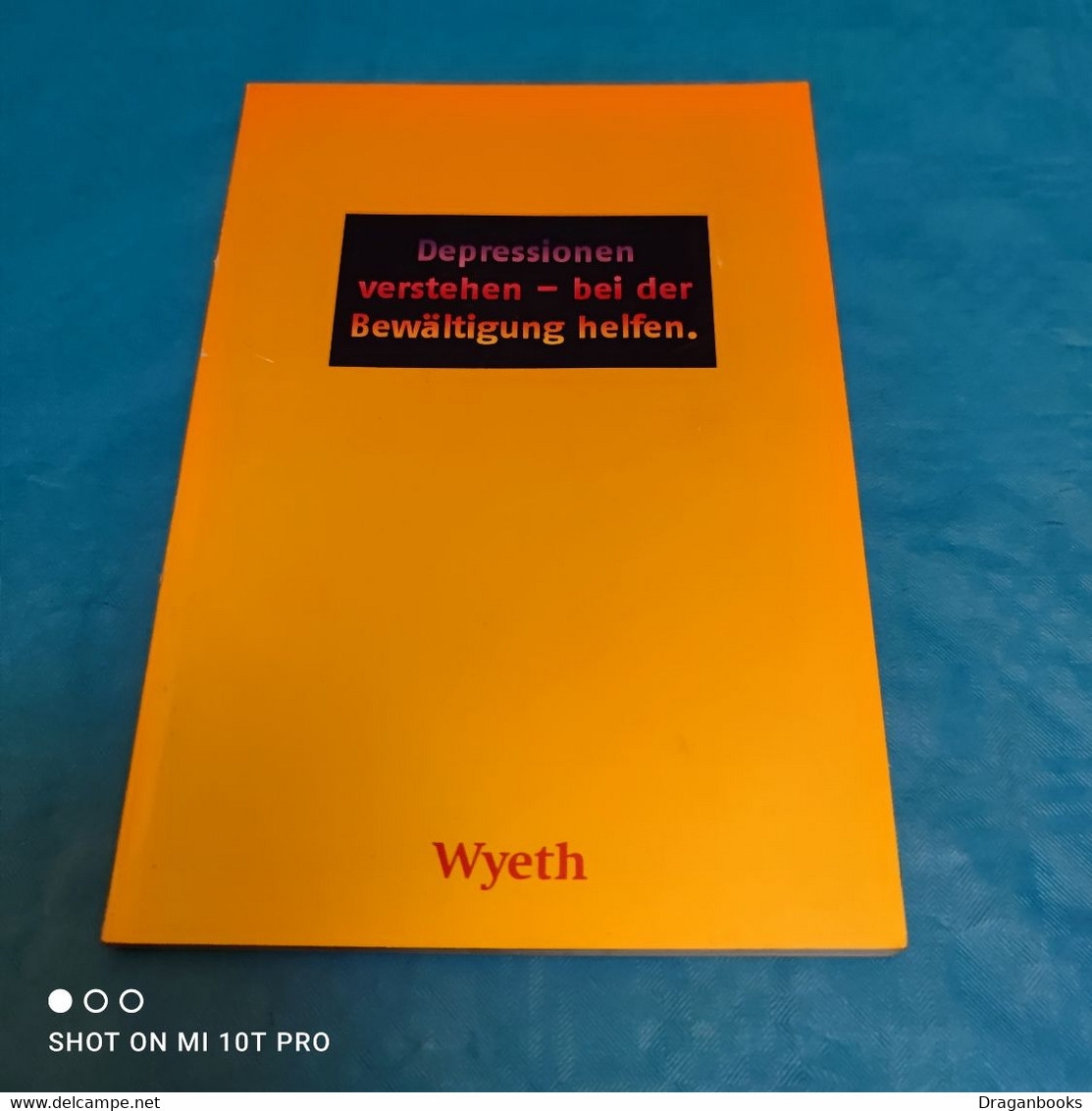 Depressionen Verstehen - Bei Der Bewältigung Helfen - Medizin & Gesundheit
