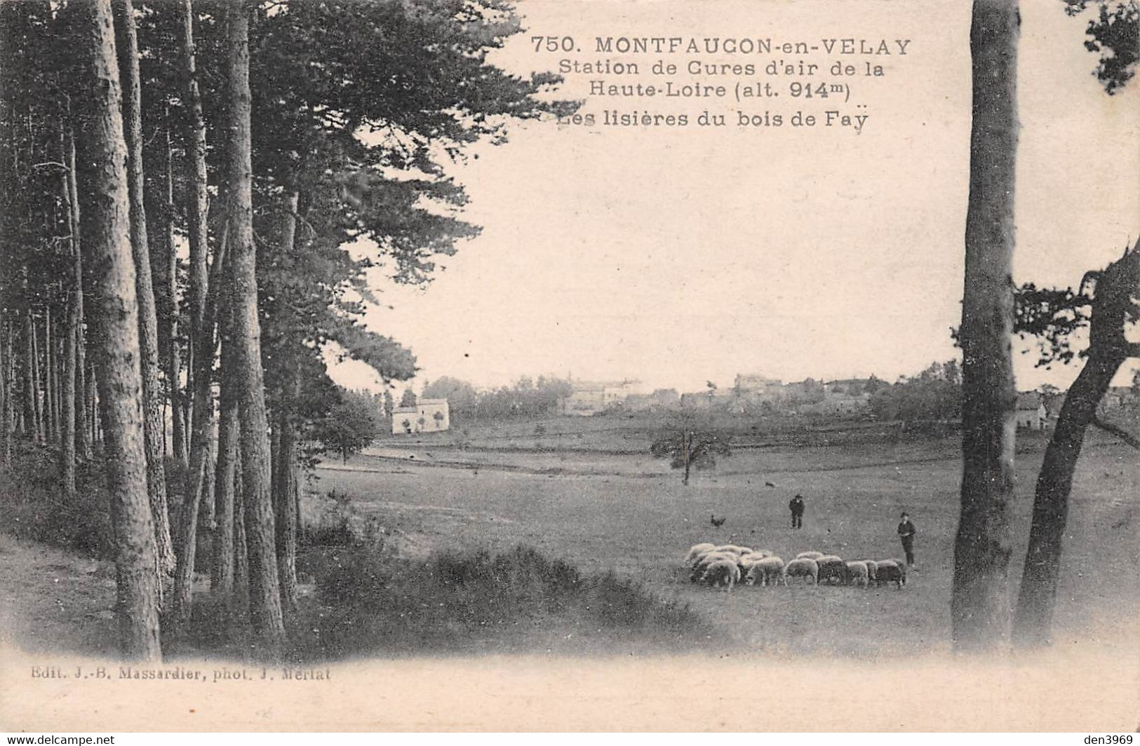 MONTFAUCON-en-VELAY (Haute-Loire) - Les Lisières Du Bois De Fay - Troupeau De Moutons - Montfaucon En Velay