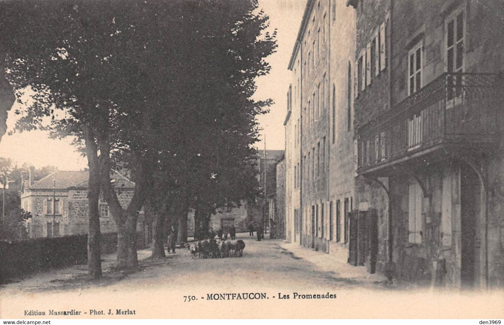 MONTFAUCON-en-VELAY (Haute-Loire) - Les Promenades - Moutons - Montfaucon En Velay