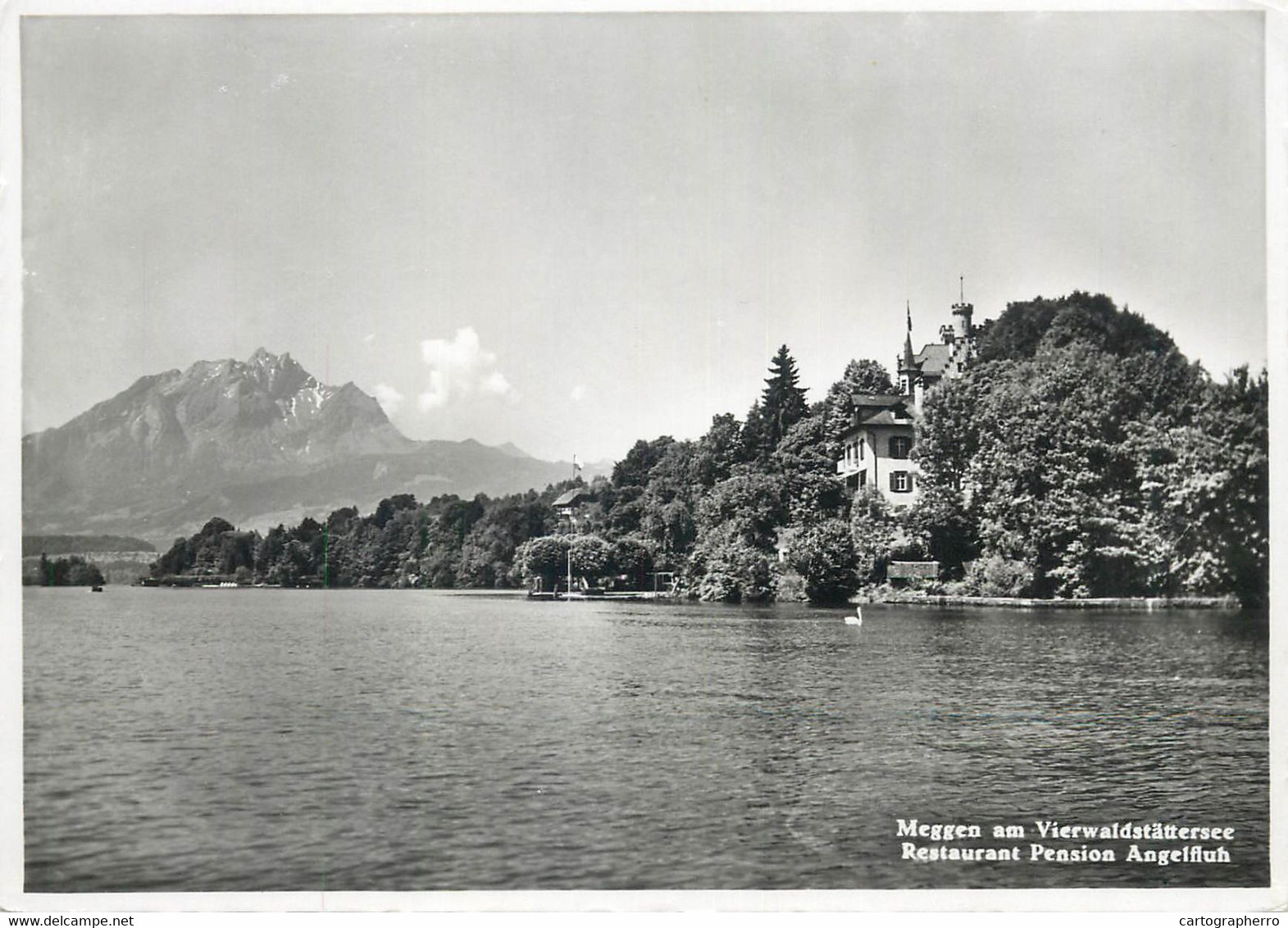 Postcard Switzerland Meggen Am Vierwaldstattersee Restaurant Pension Angelfluh - Meggen