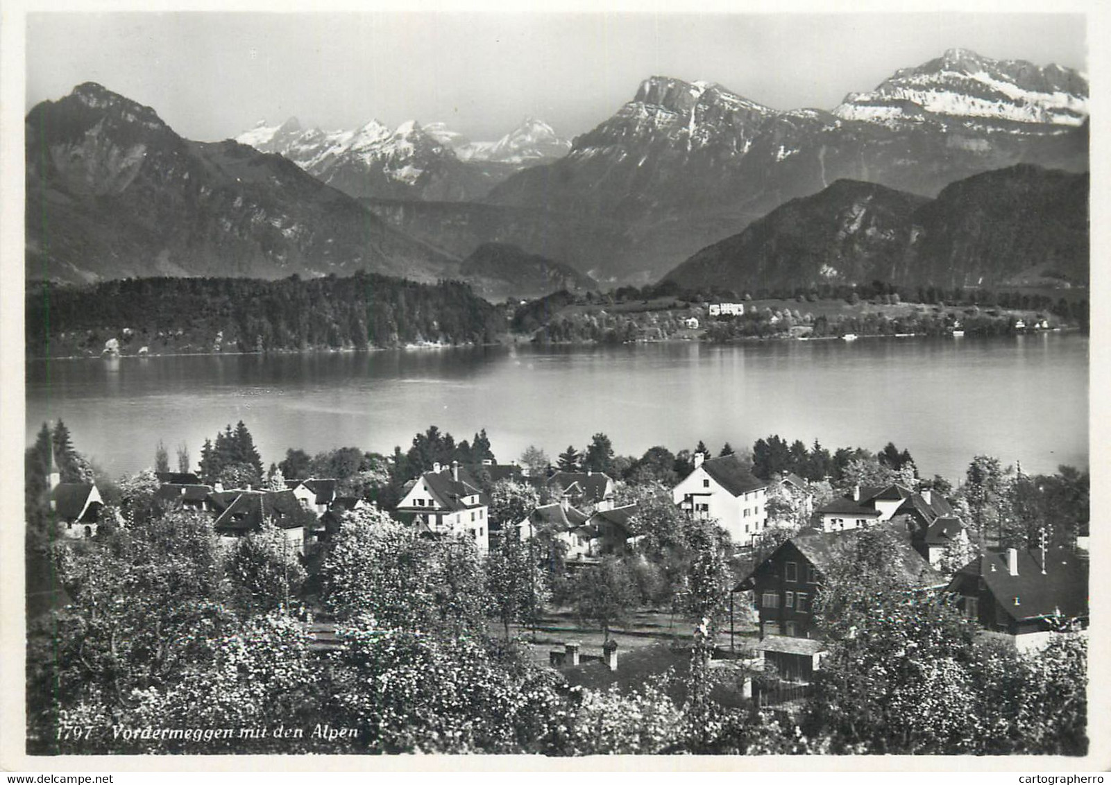 Postcard Switzerland Vordermeggen Mit Den Alpen - Meggen