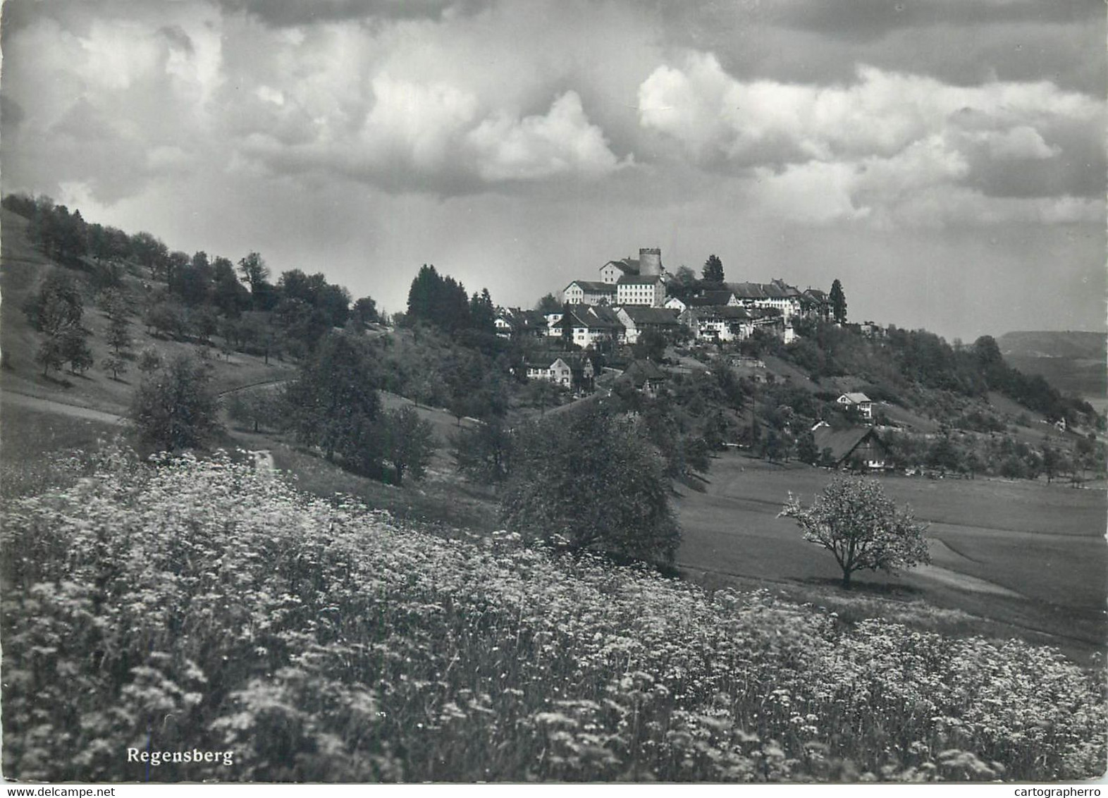 Postcard Switzerland ZH Zurich Regensberg Gasthof Lowen Eigener Rebberg - Regensberg