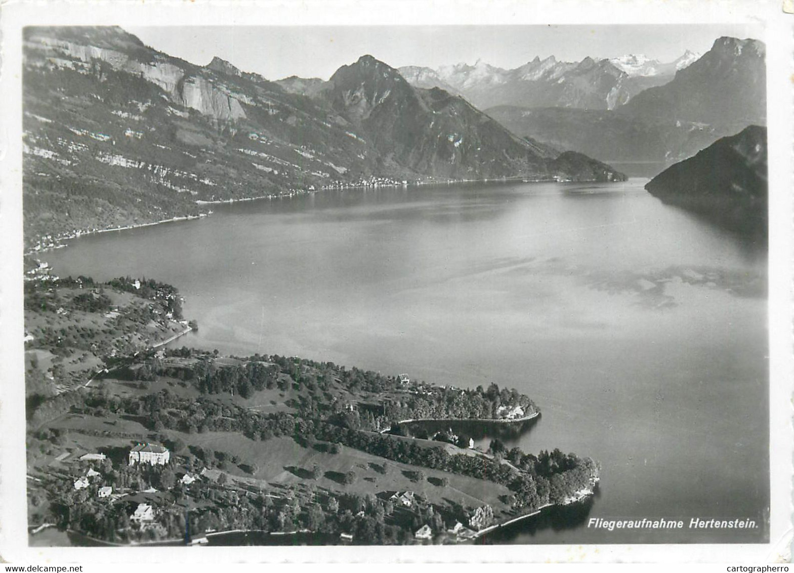 Postcard Switzerland Fliegeraufnahme Hertenstein Aerial 1957 - Stein