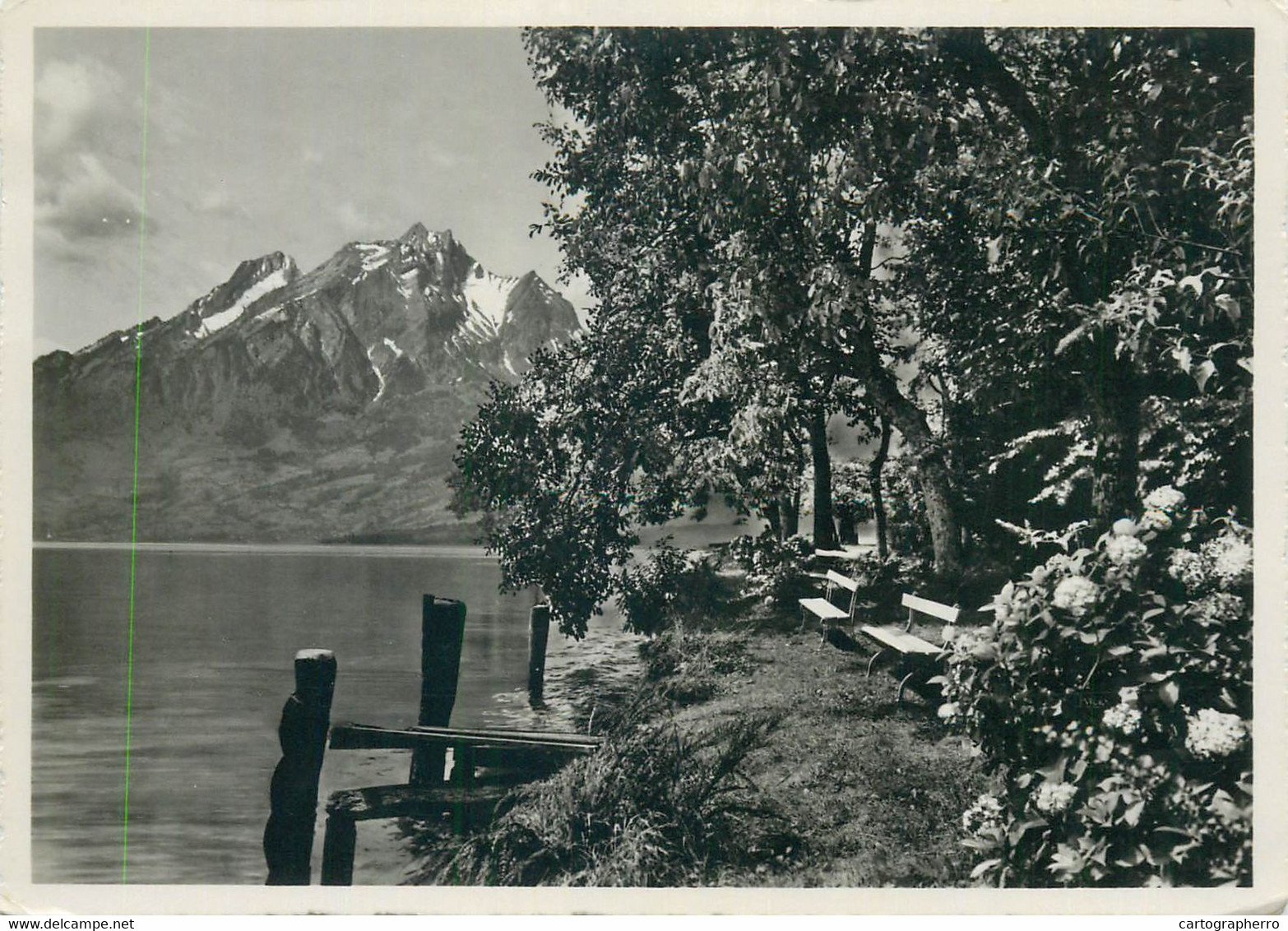 Postcard Switzerland Park-partie Schonen Hotel Hertenstein 1951 - Stein