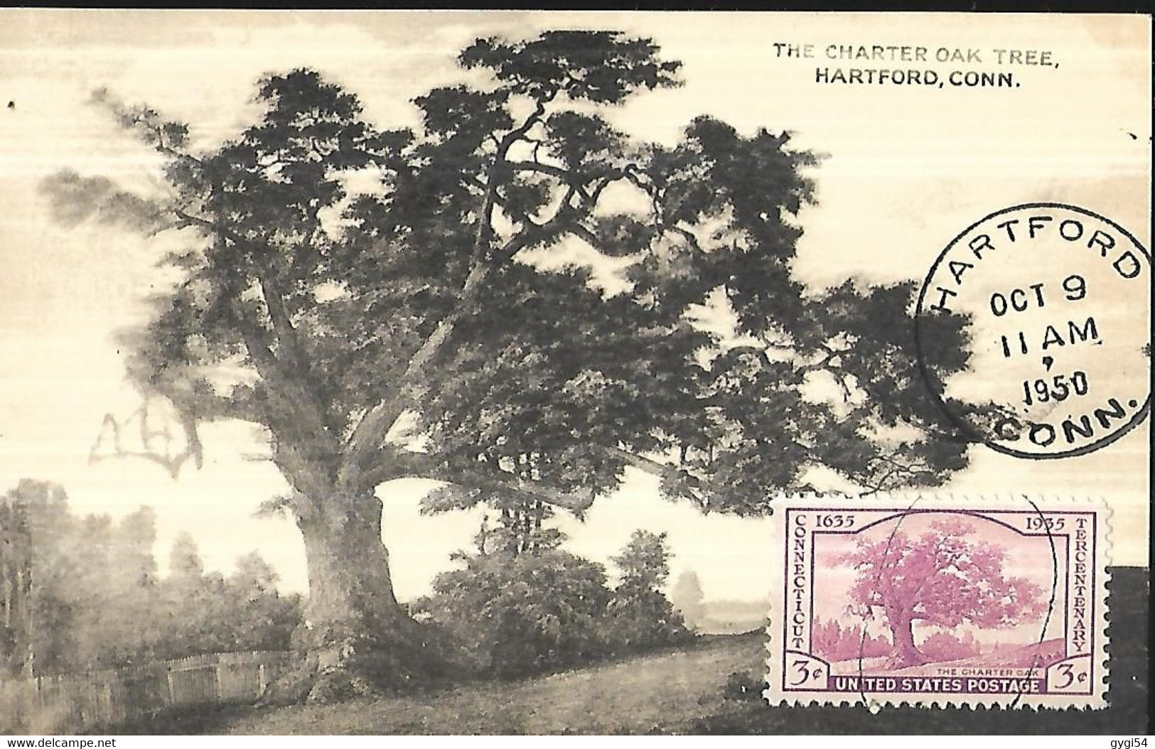 USA  CARTE MAXIMUM  Connecticut Hartford The Charter Oak Tree 1950 - Maximumkarten (MC)