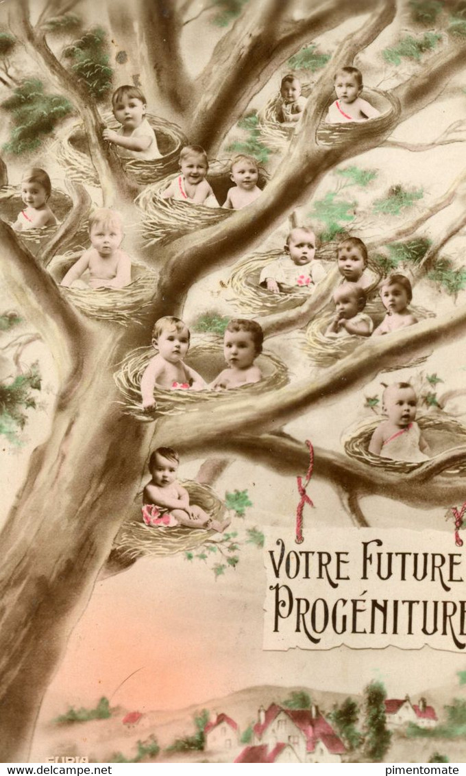 HUMOUR VOTRE FUTURE PROGENITURE ARBRE 1922 - Cartes Humoristiques