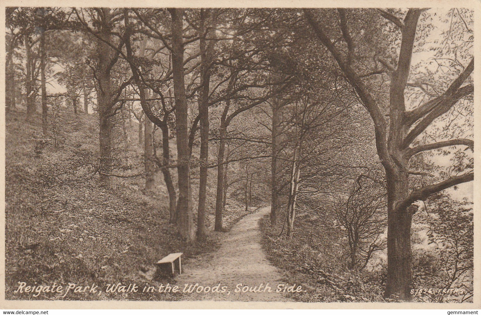 REIGATE PARK -WALK IN THE WOODS. - Surrey