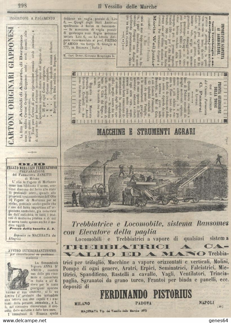 Macerata 1873 - Roma Orte - Il Vessillo Delle Marche - (2 Immagini) - Transports