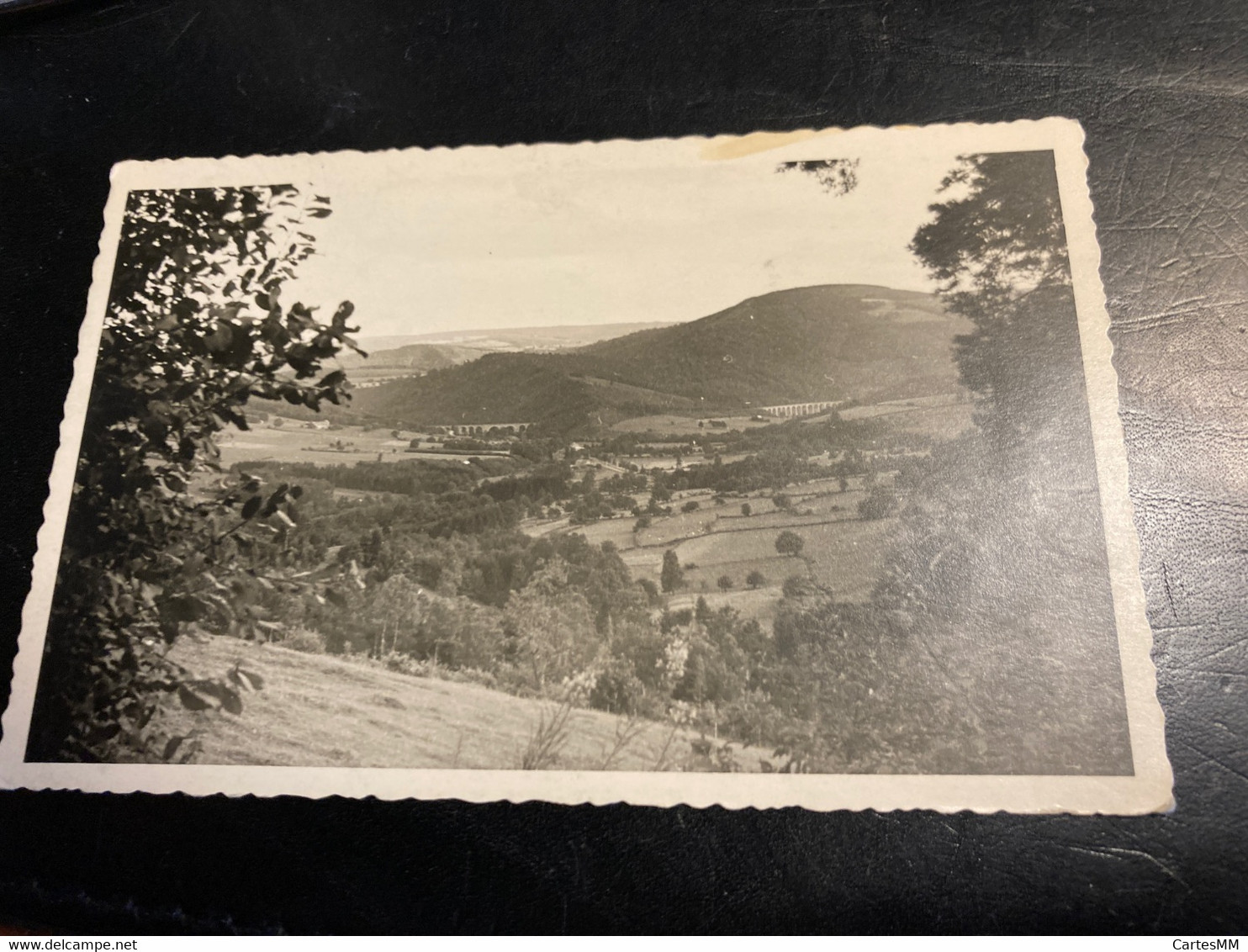 Stoumont Borgoumont La Gleize 3 Carte Photo  Photographe Gaston Fassotte Cliché Pour Carte Postale - Stoumont