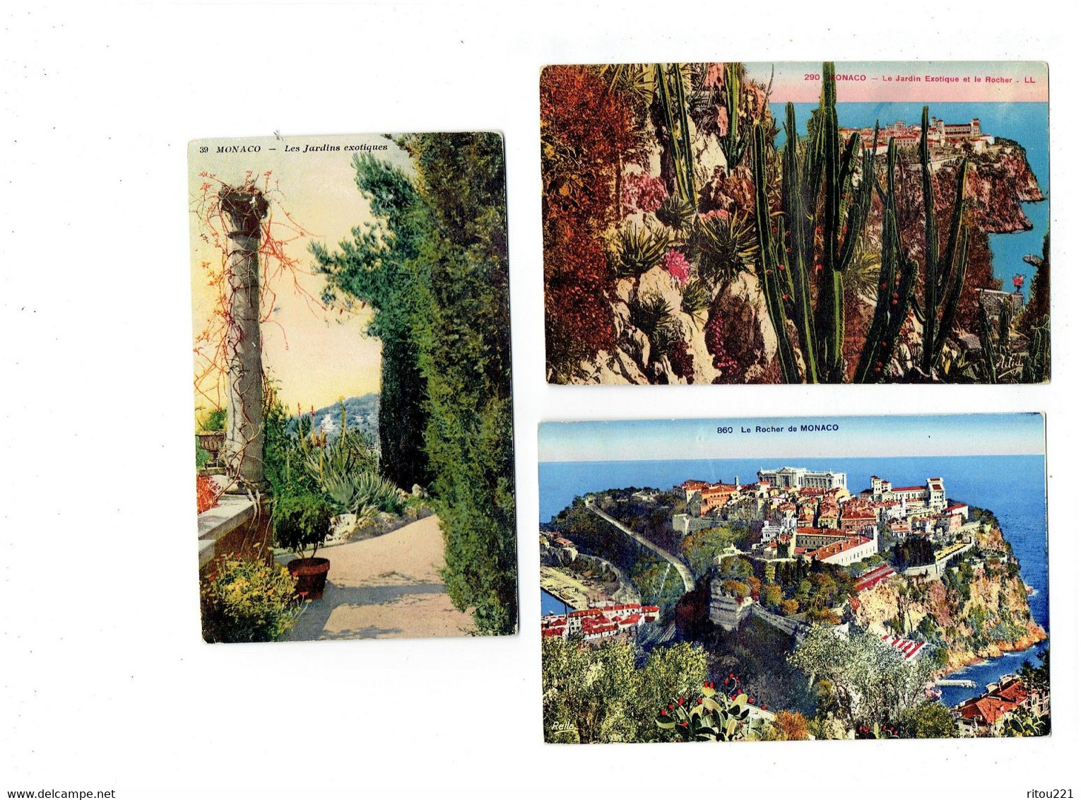 Lot 3 Cpa - MONACO - Jardin Exotique - ROCHER - Cactus - Cactusses