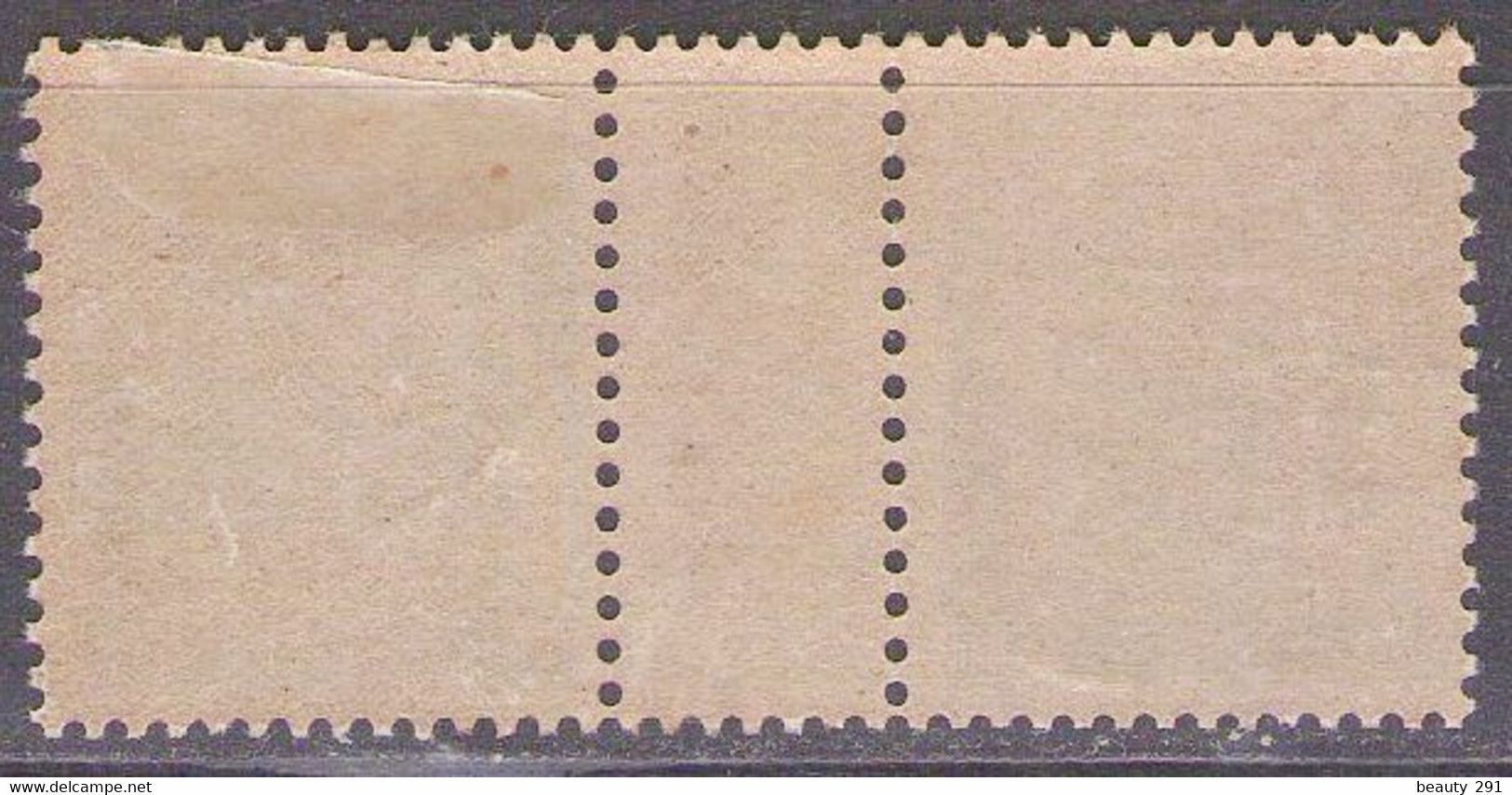 CHINA 1901 PORTO,TAXE Mi 1 PAAR  MH* - Timbres-taxe