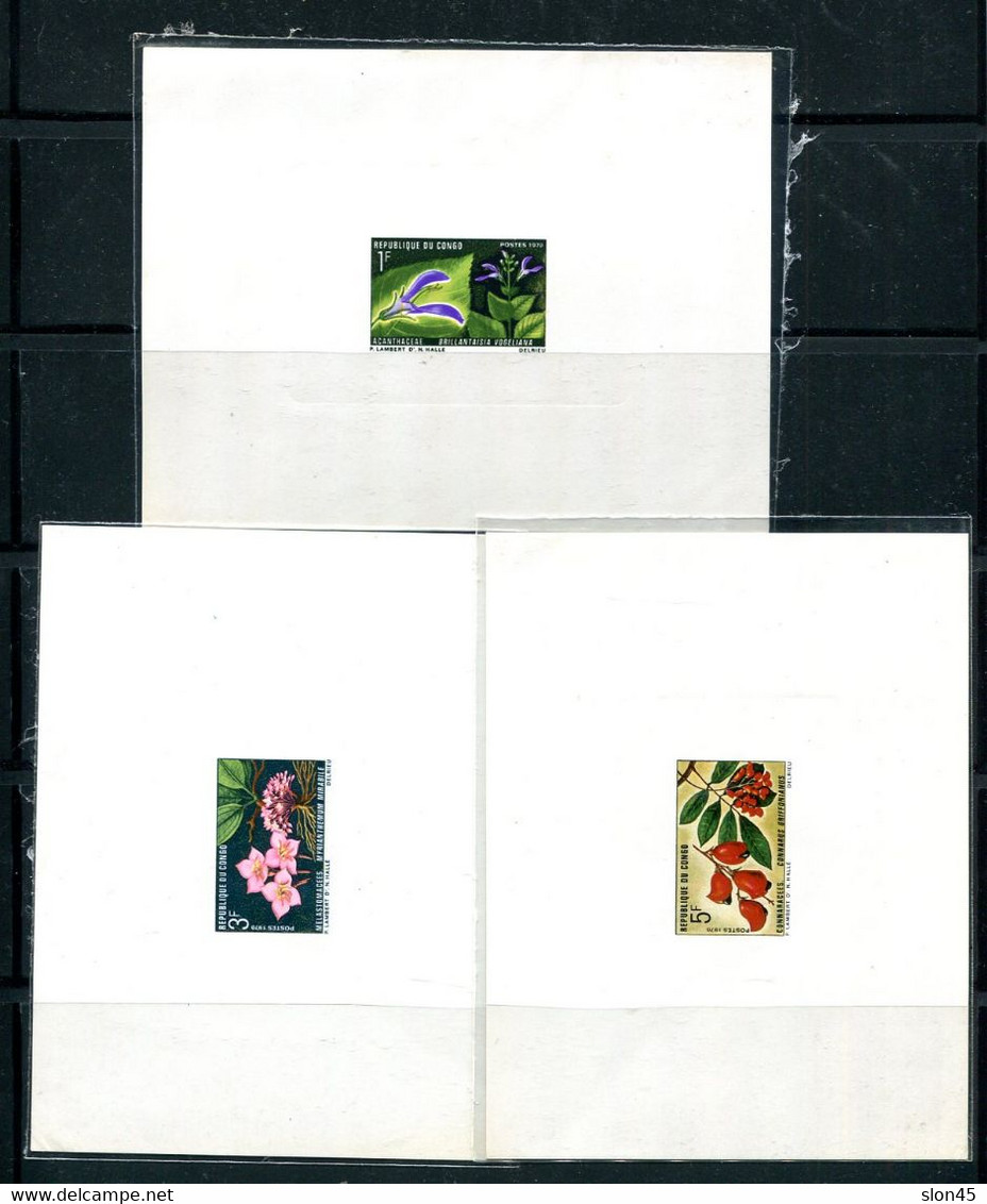 Congo 1970 Flowers 3 Deluxe Sheets Proofs Sc 222/224-5 14476 - Altri & Non Classificati