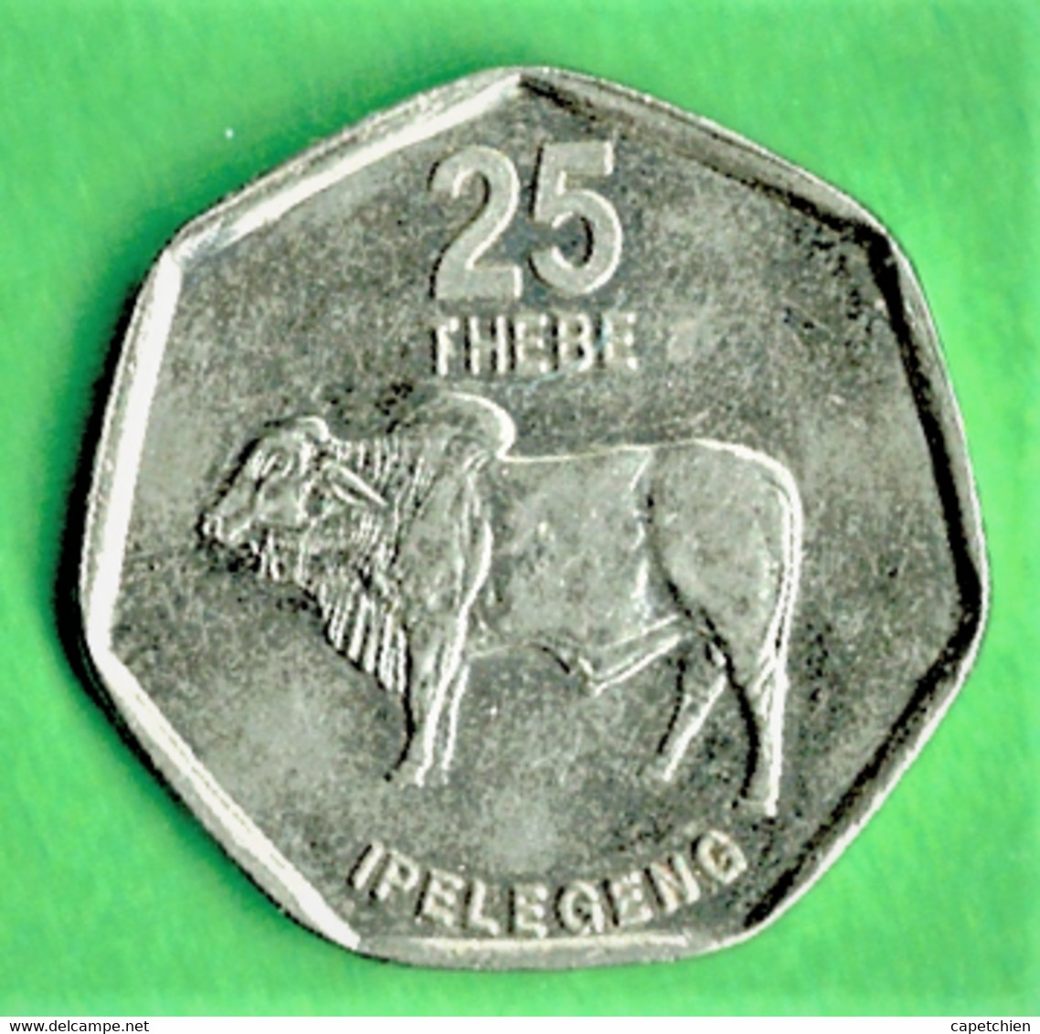 BOTSWANA / 25 THEBE / 1999 / ETAT SUP - Botswana