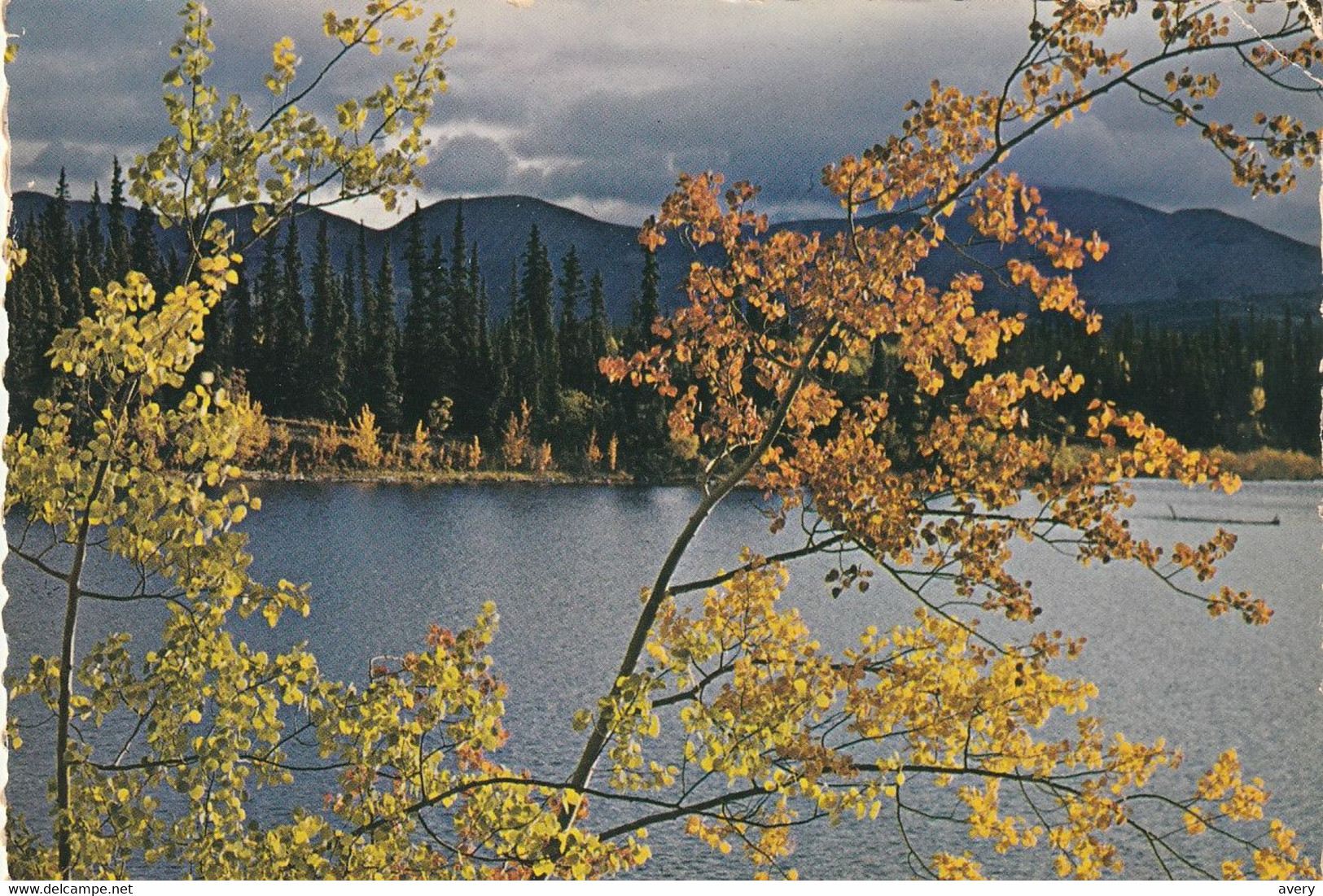 Canada Yukon Territory The Tranquility Of Marsh Lake Is A Contrast To The Bustle Of The Gold Rush Of '98. - Yukon