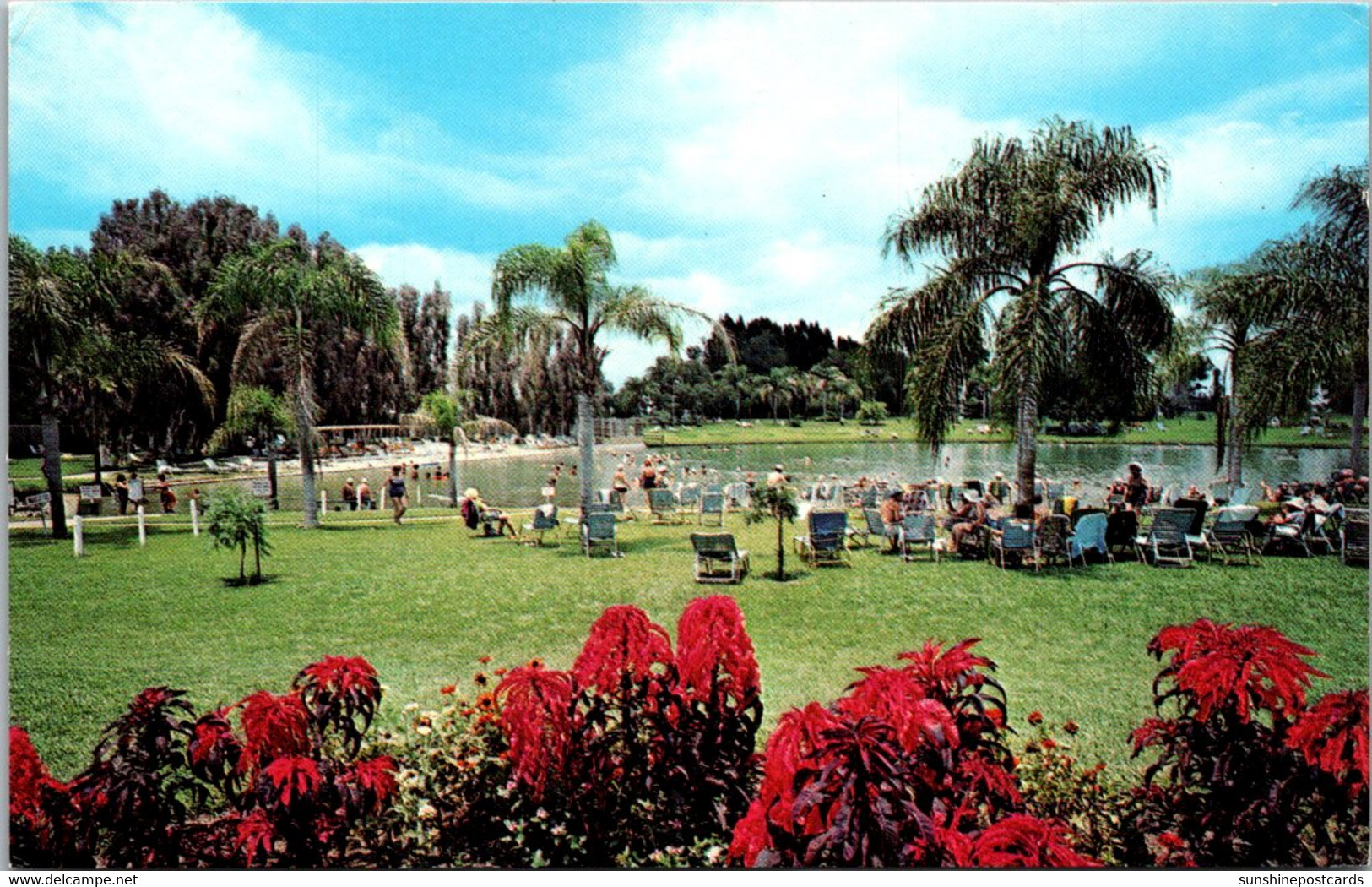 Florida Venice Warm Mineral Springs On U S 41 - Venice