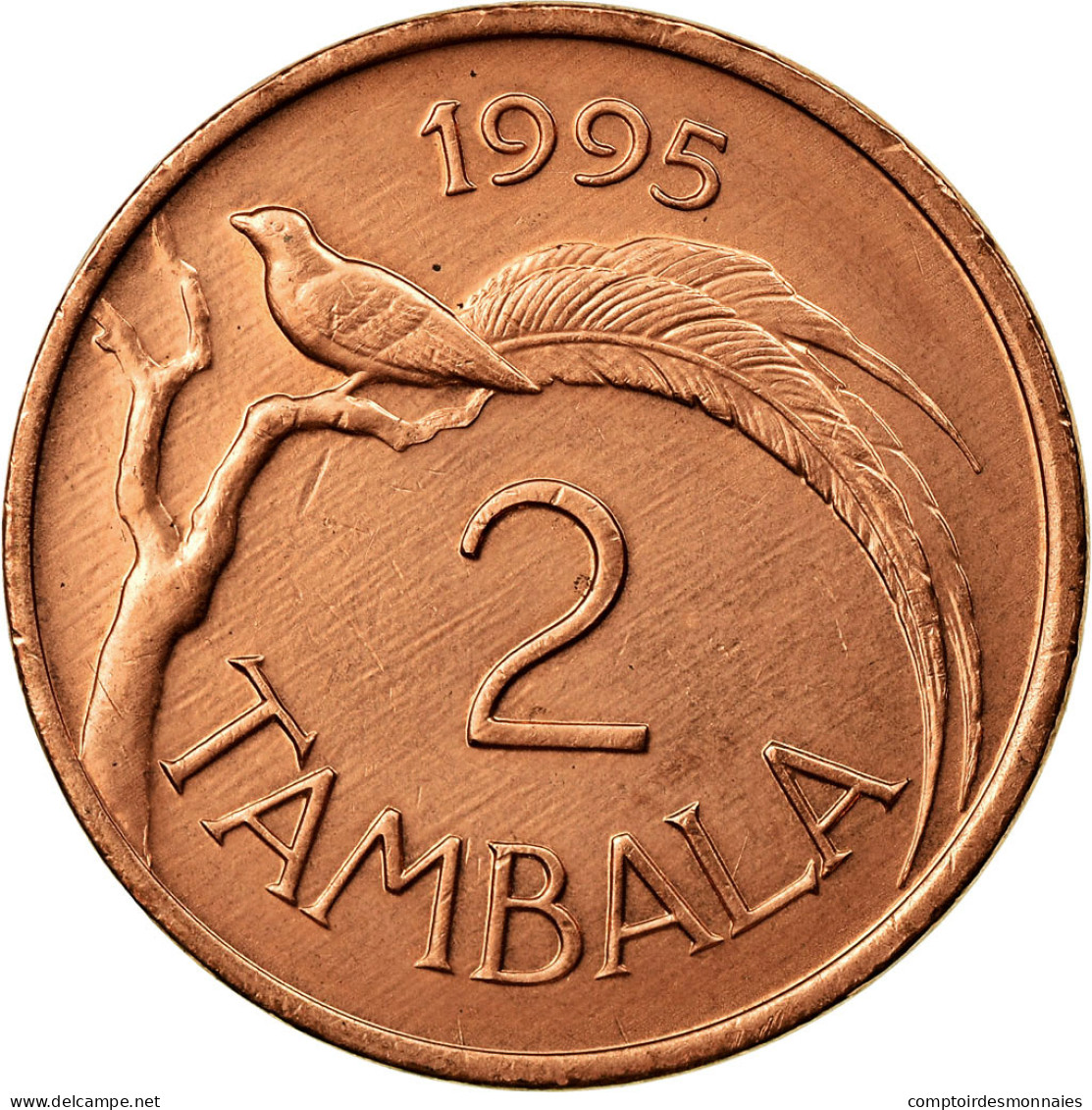 Monnaie, Malawi, 2 Tambala, 1995, TTB, Bronze, KM:34 - Malawi