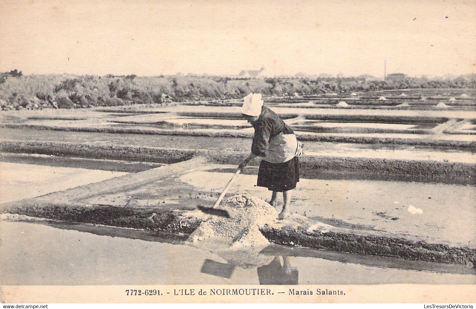 CPA - France - 85 - ILE DE NOIRMOUTIER - Marais Salants - 7772 6291 - Raymond Berger La Rochelle - Ile De Noirmoutier