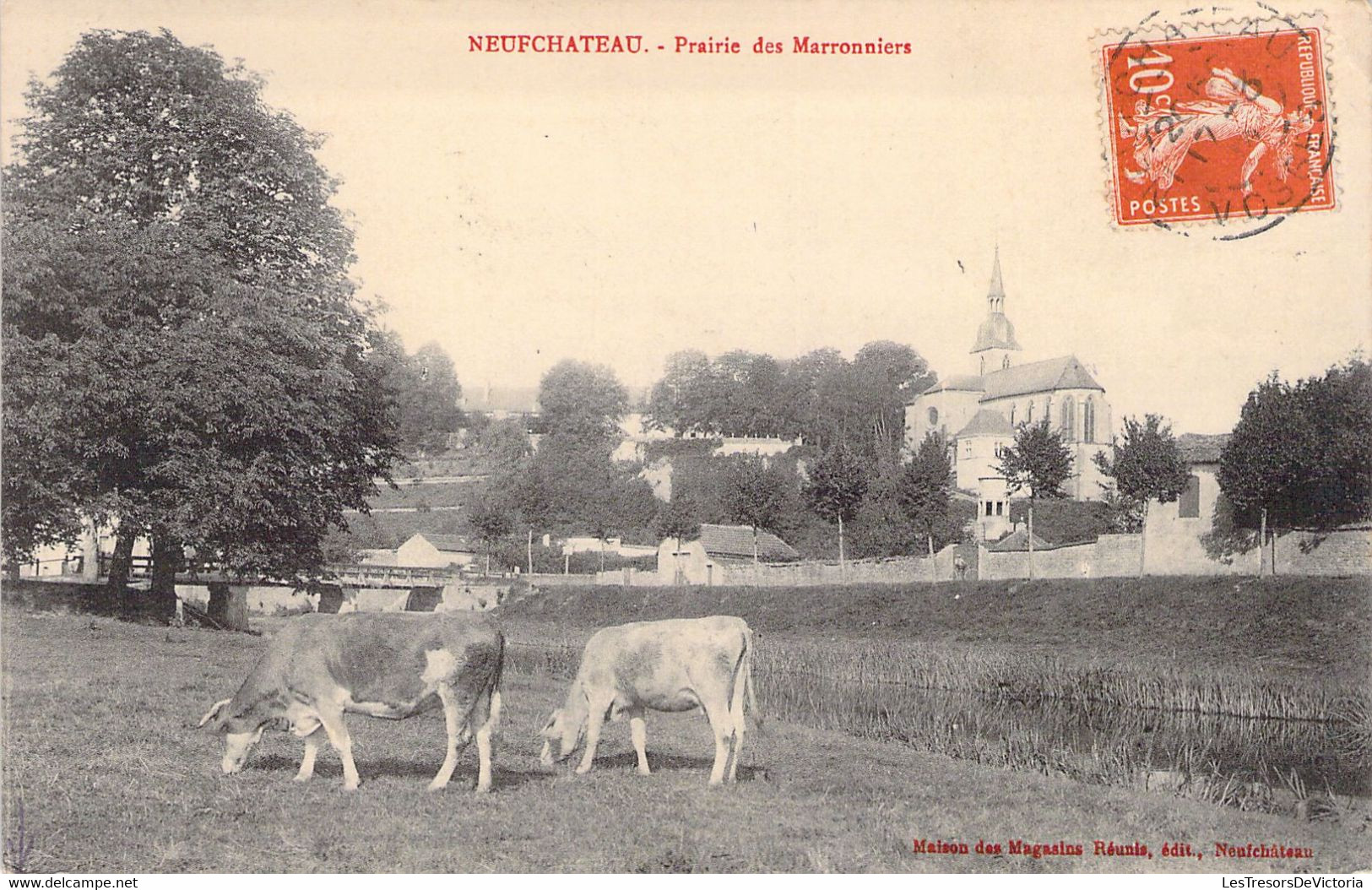 CPA - France - 88 - NEUFCHATEAU - Prairie Des Marronniers - Maison Des Magasins Réunis - Vaches - Neufchateau