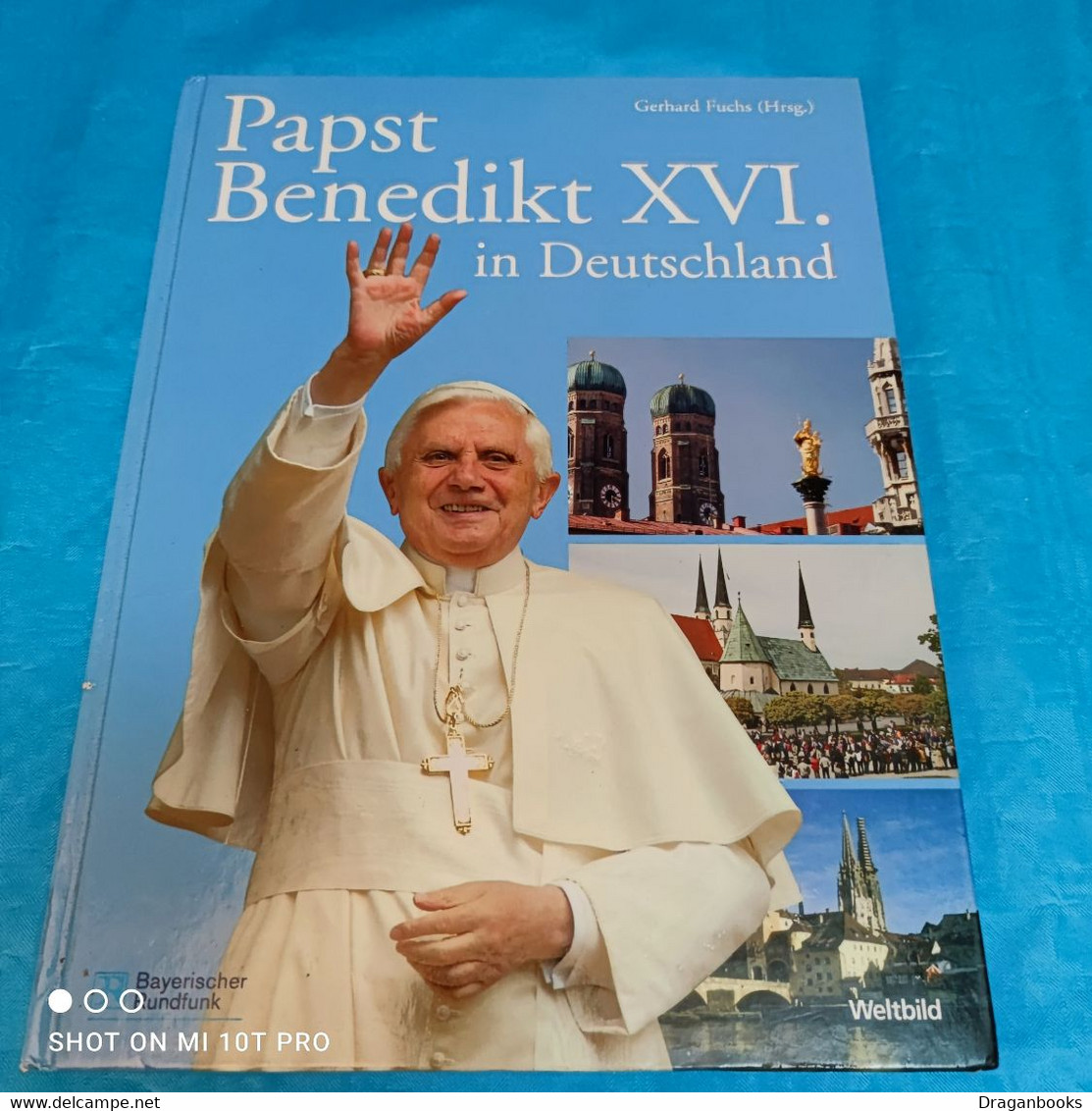 Gerhard Fuchs - Papst Benedikt XVI In Deutschland - Animales