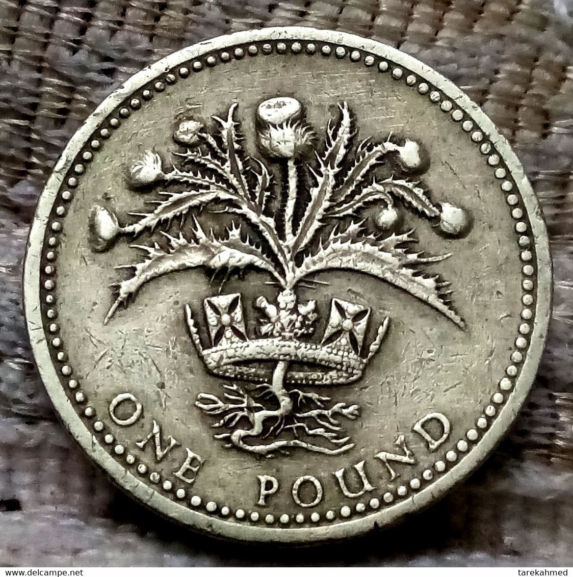 1 Pound - Elizabeth II (2nd Portrait; Scottish Thistle) 1984 ,Agouz - 1 Pound