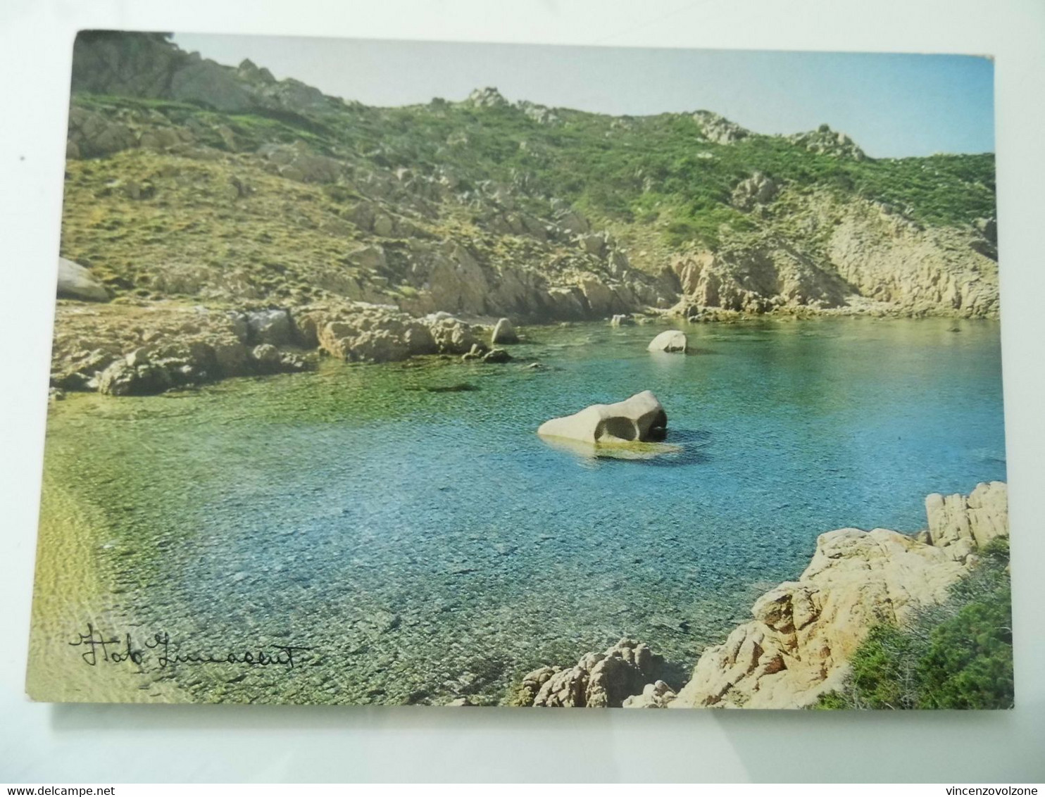 Cartolina Viaggiata "LA MADDALENA  Cala Di Trana BUDELLI" 1984 - Olbia