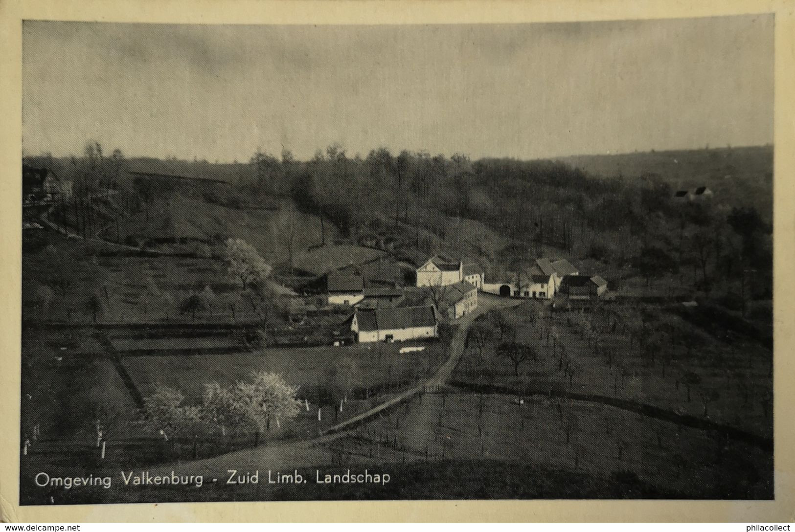 Valkenburg // Omgeving - Zuid Limb. Landschap 19?? - Valkenburg