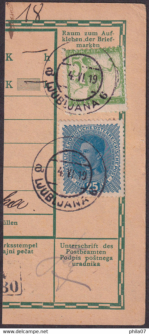 SLOVENIA - Fragment Of Parcel Card With Mixed Franking And With Cancel Ljubljana 04.06. 1919. / 2 Scans - Slovénie