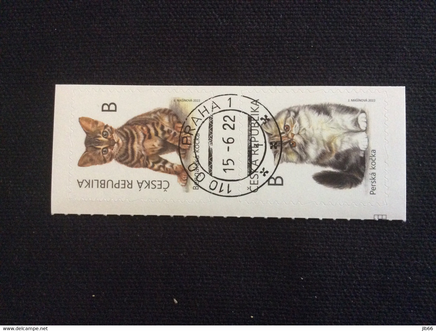 Yvert  1016/1017 Oblitéré CZ 2022  Chatons Cat Chat Du Bengale Et Chat Persan - Used Stamps